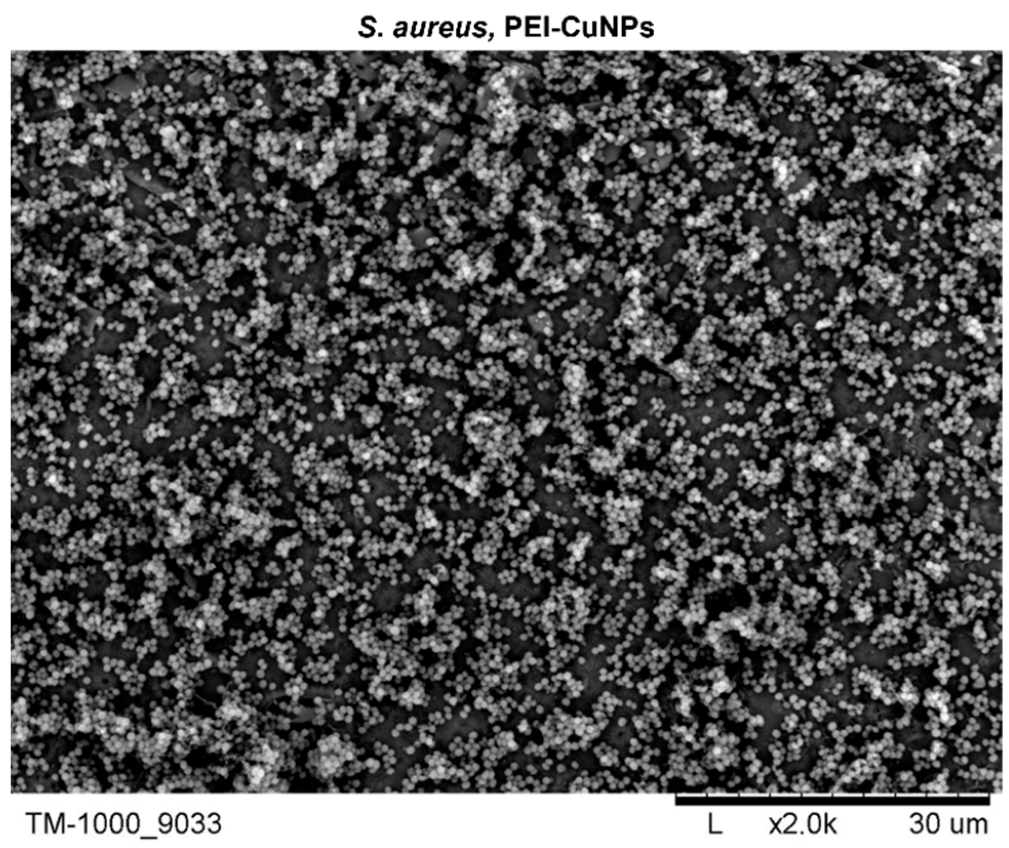 Processes 12 00512 g008