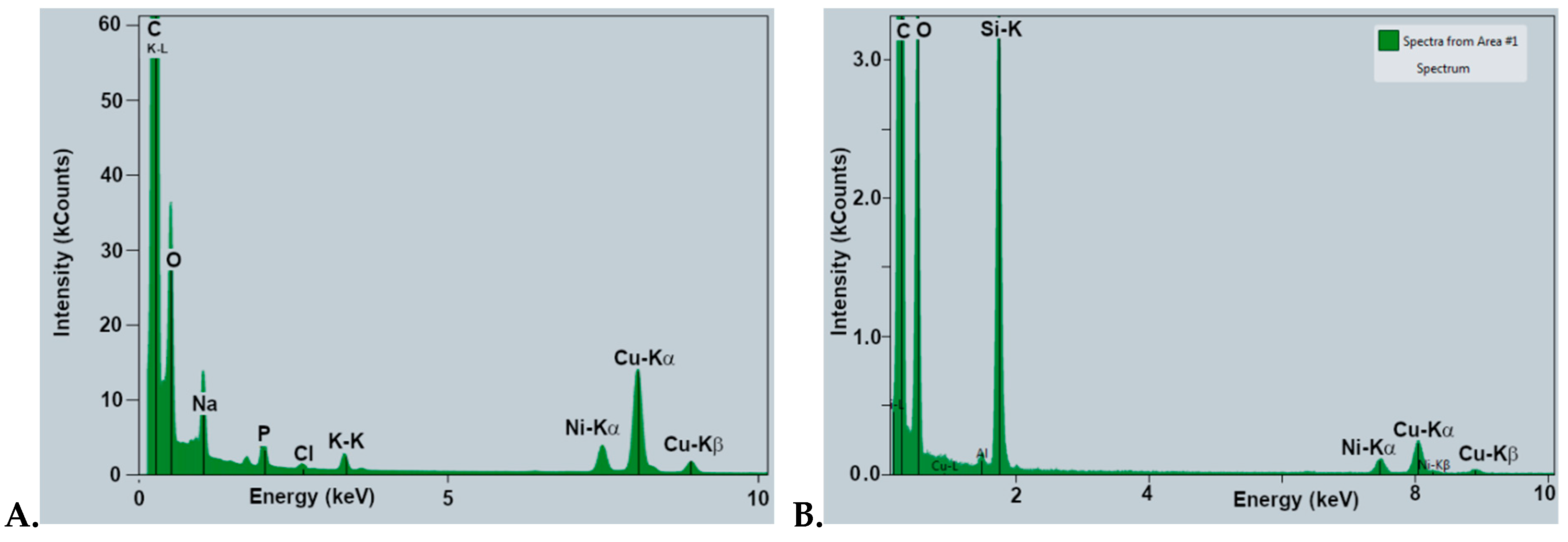 Processes 12 00512 g009