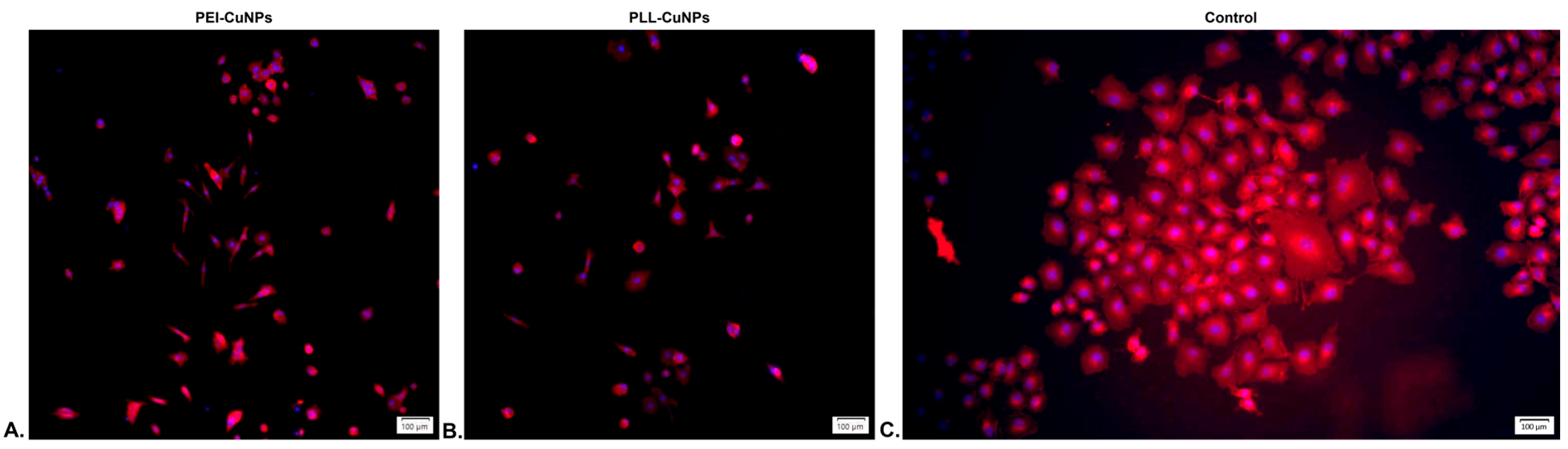 Processes 12 00512 g013