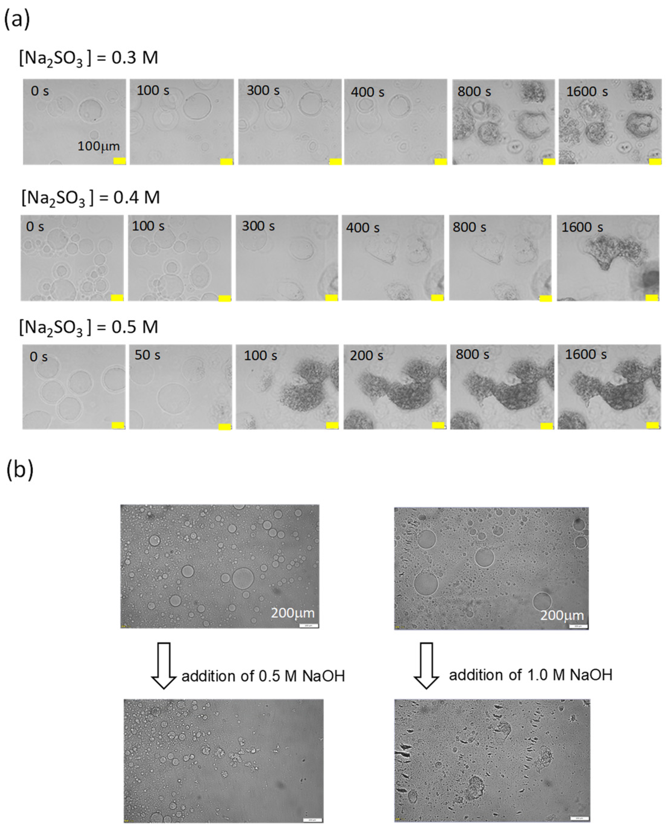 Processes 12 00514 g004