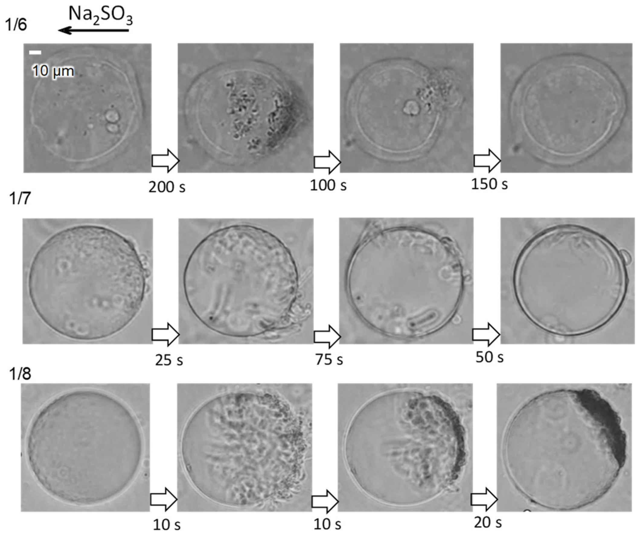 Processes 12 00514 g006