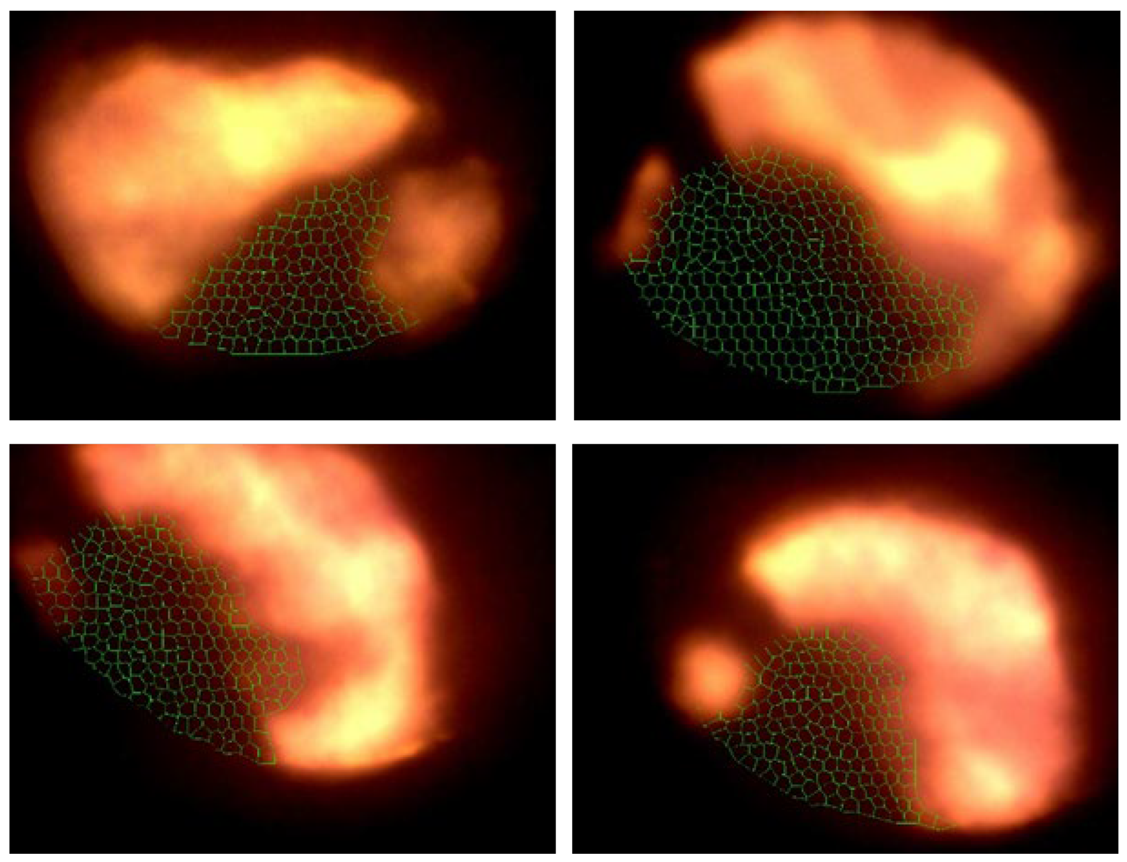 Processes 12 00529 g007