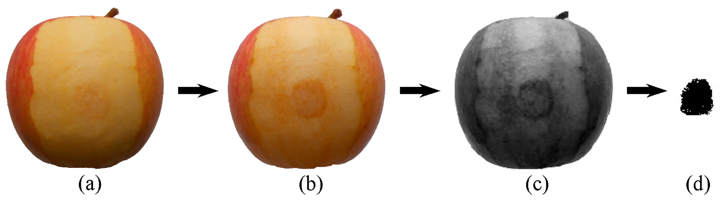 Processes 12 00543 g003 Processes 12 00543 g003