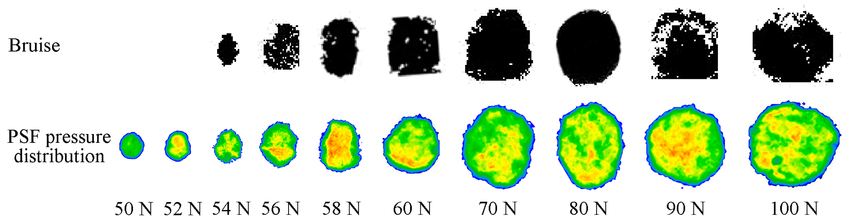 Processes 12 00543 g005 Processes 12 00543 g005