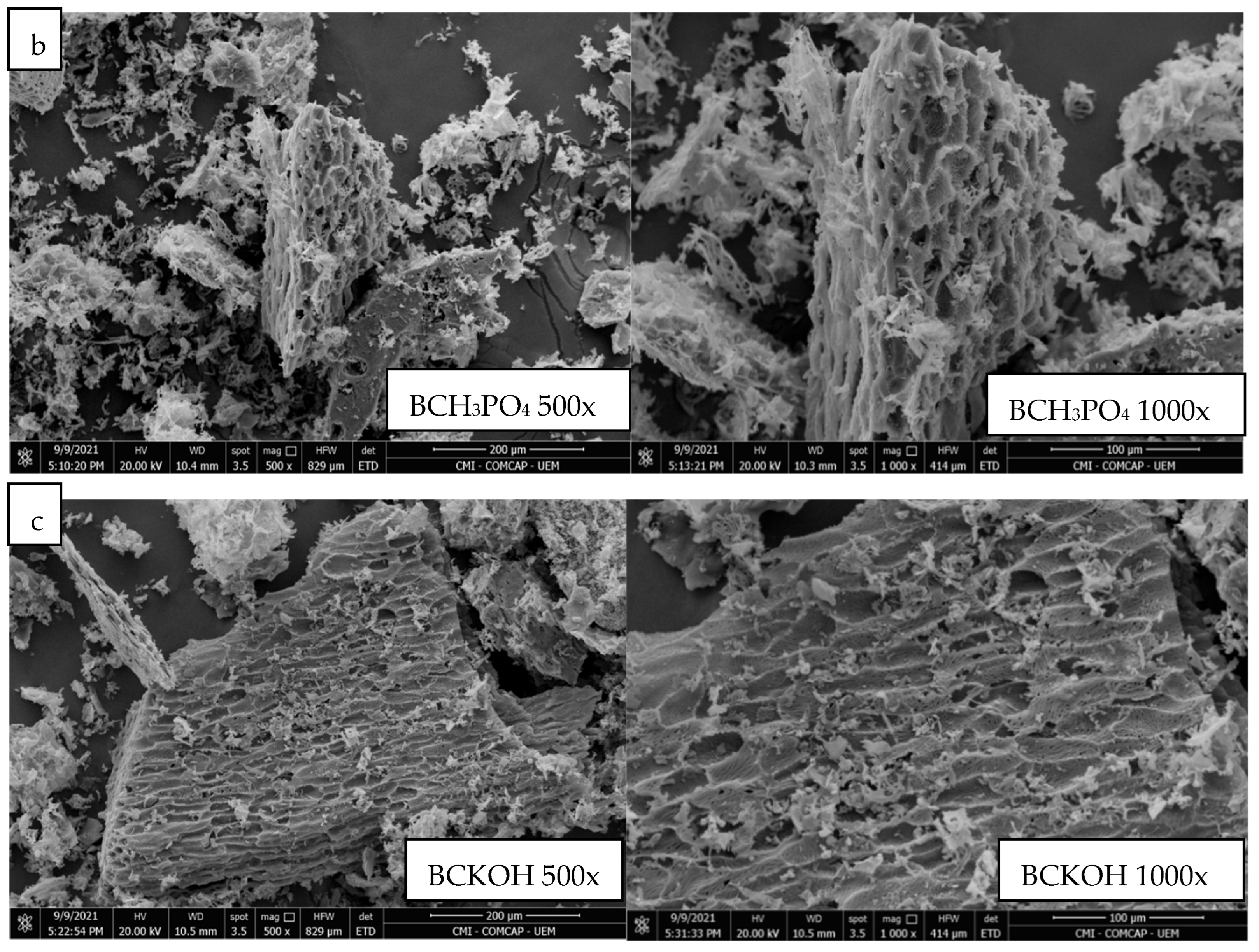 Processes 12 00560 g003b