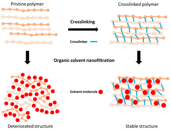 Hollow Fiber Membrane Modification by Interfacial