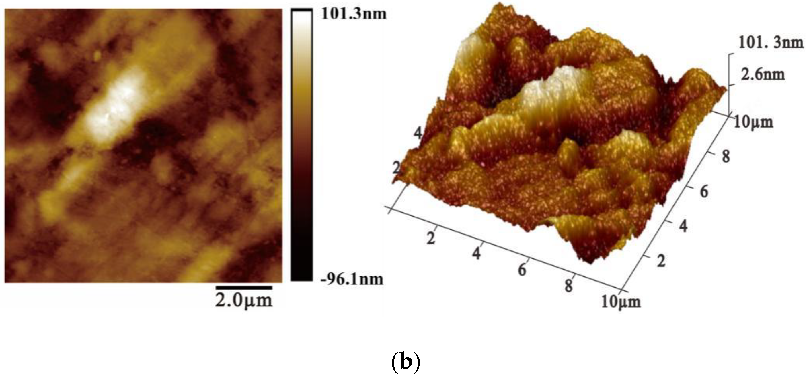 Processes 12 00568 g004b