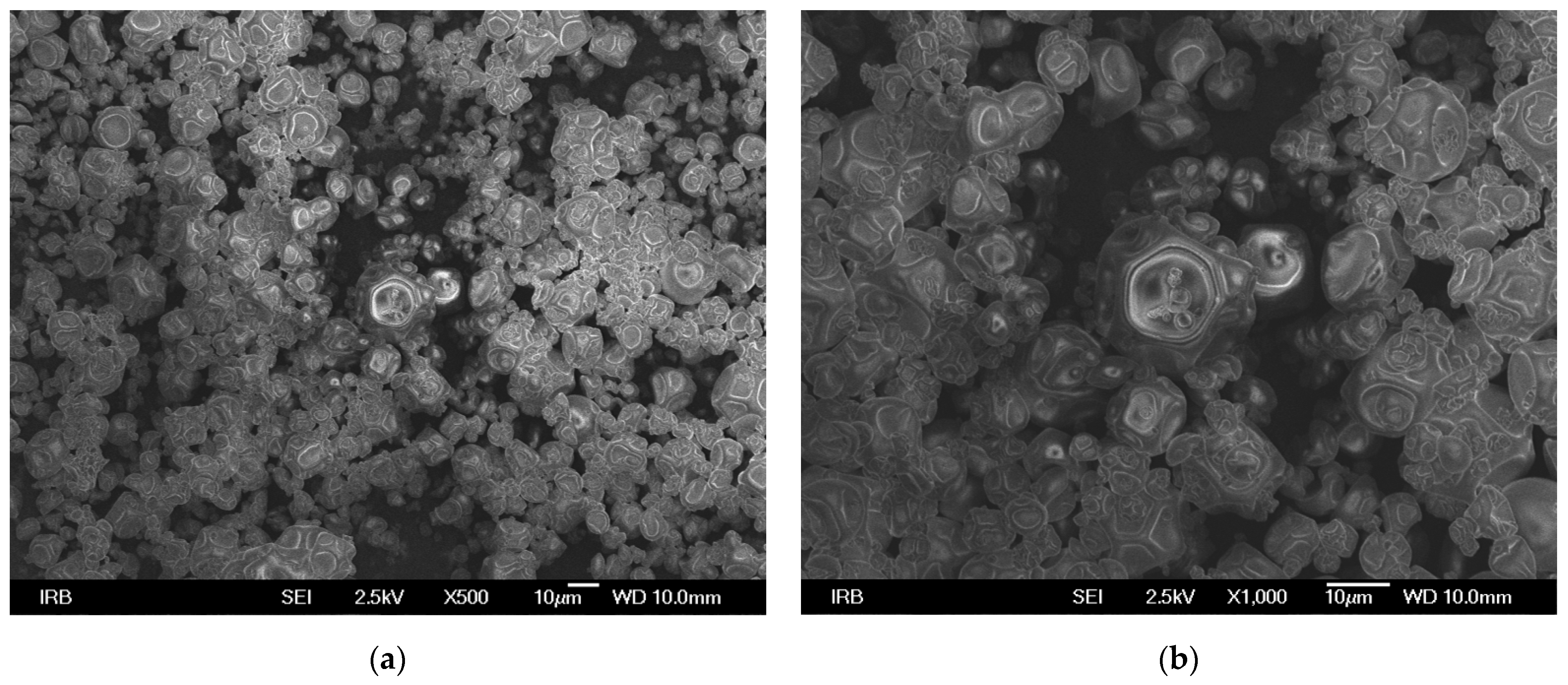 Processes 12 00577 g002
