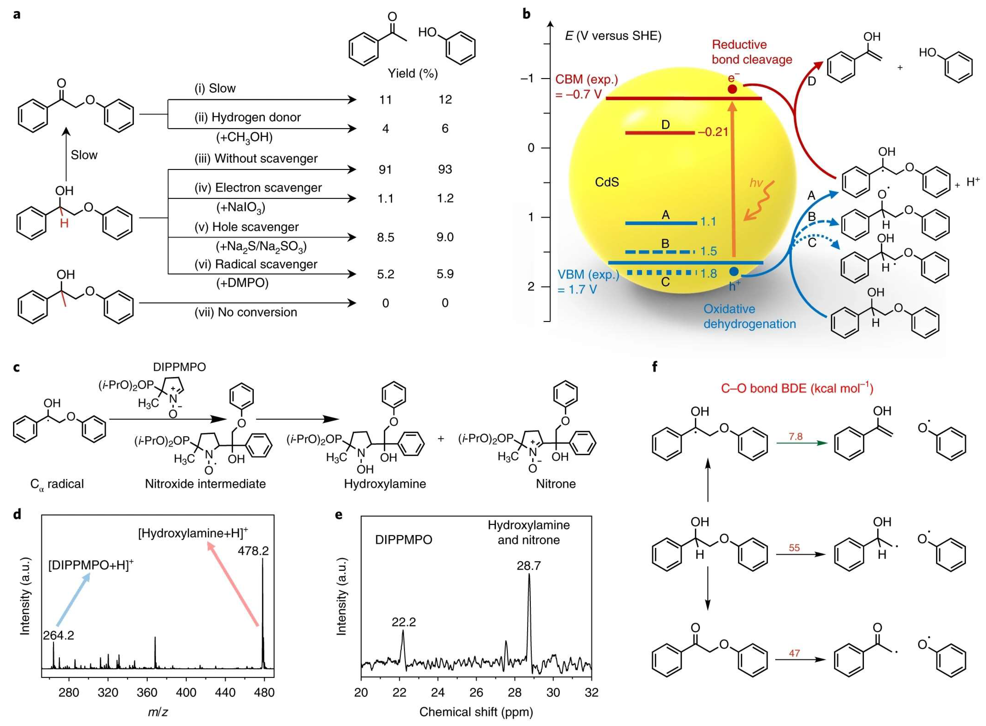 Processes 12 00589 g012