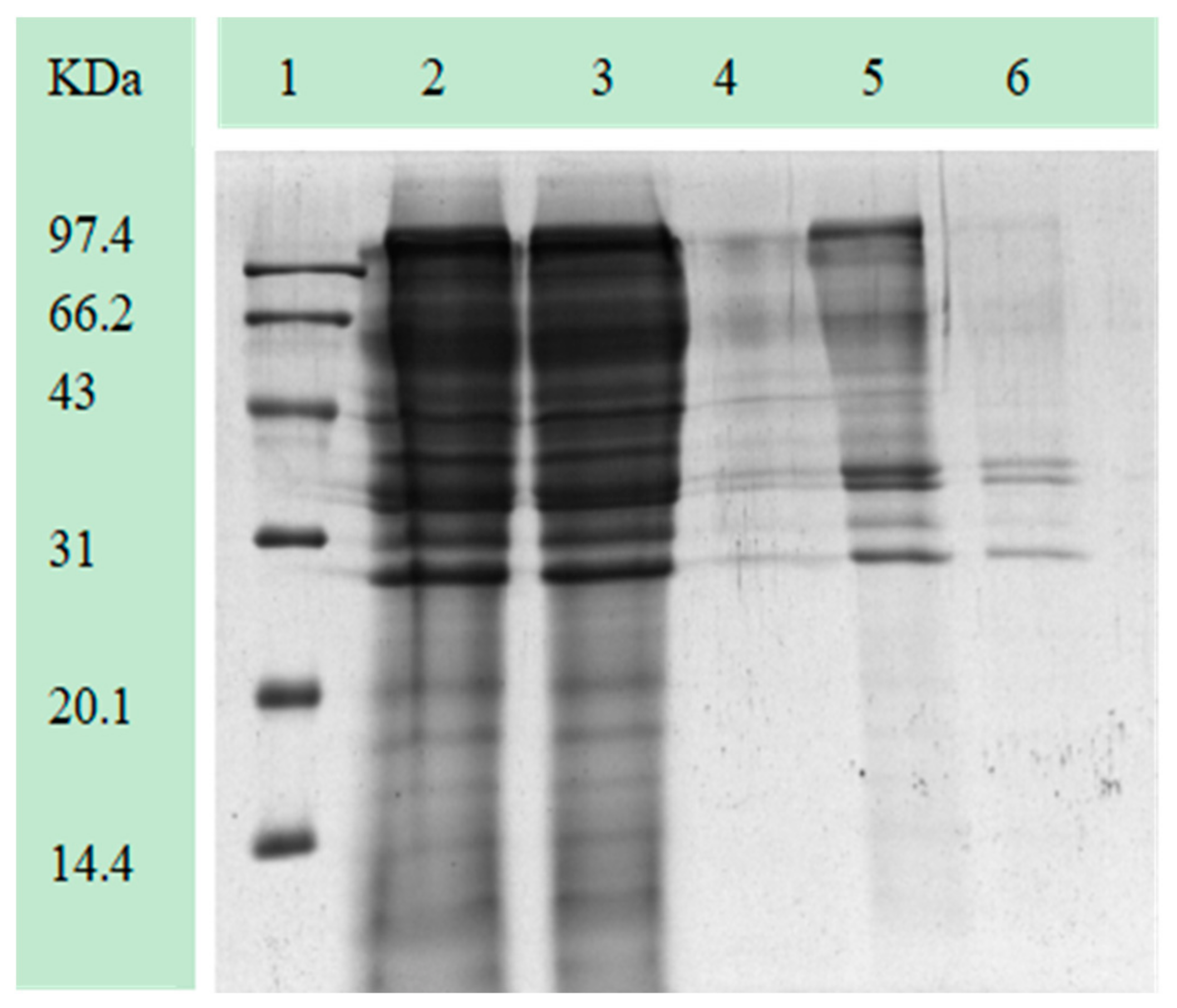 Processes 12 00615 g006