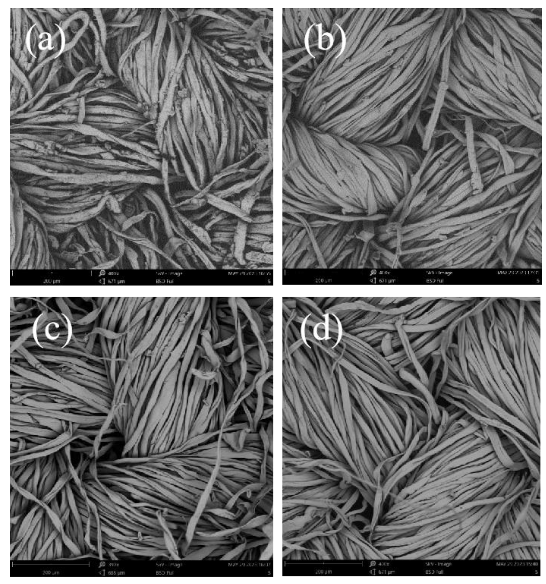 Processes 12 00624 g006