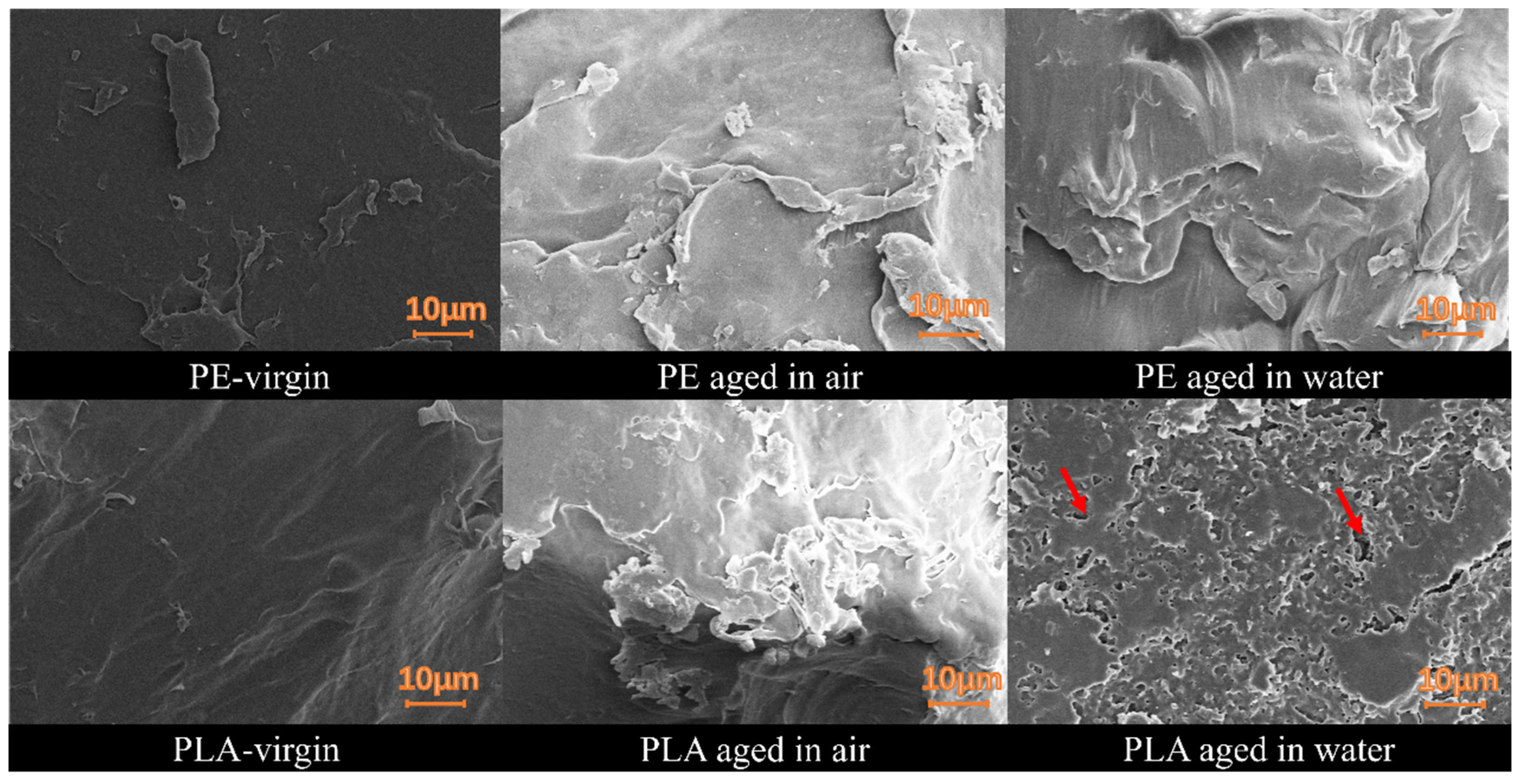 Processes 12 00635 g003