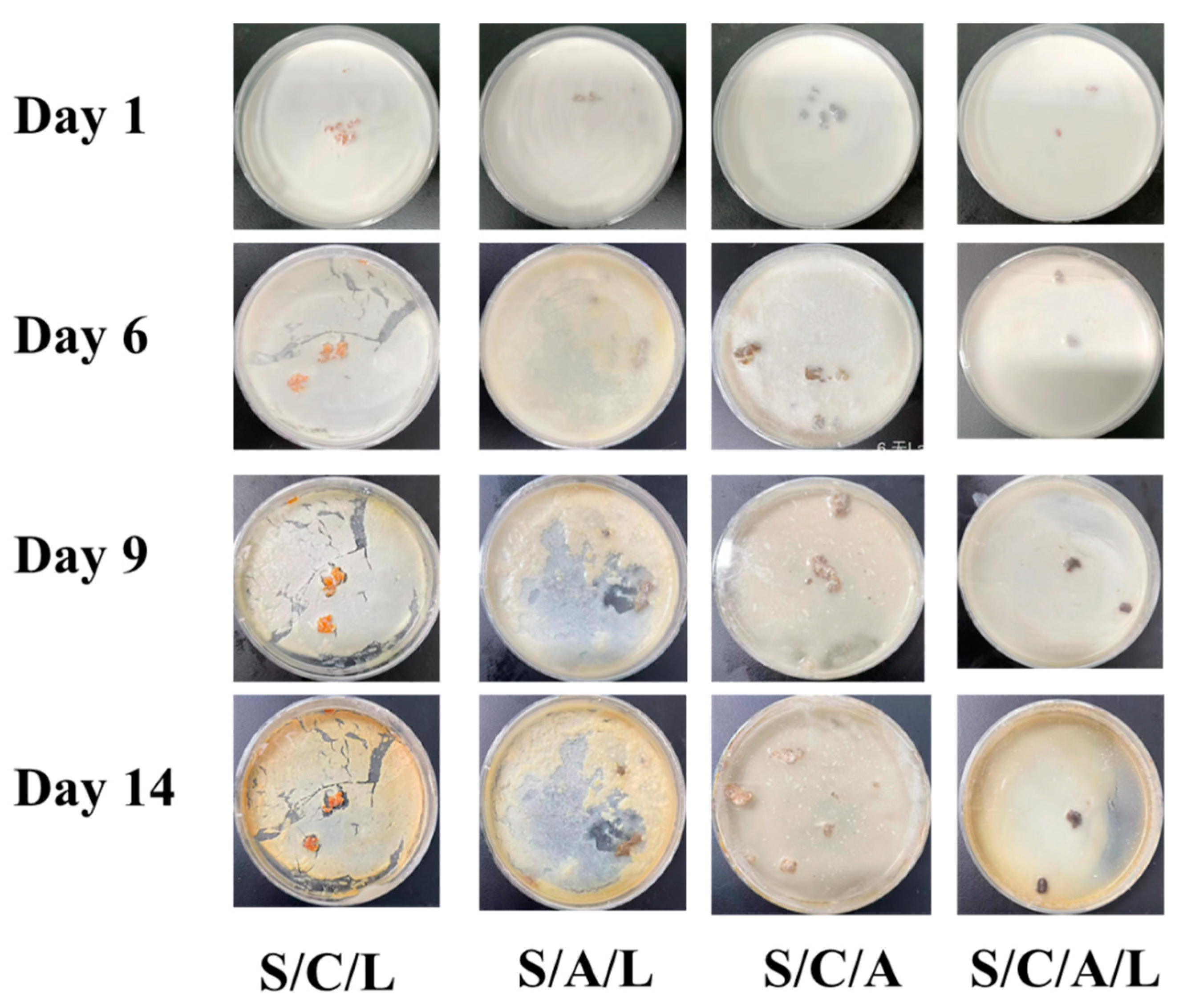 Processes 12 00662 g006
