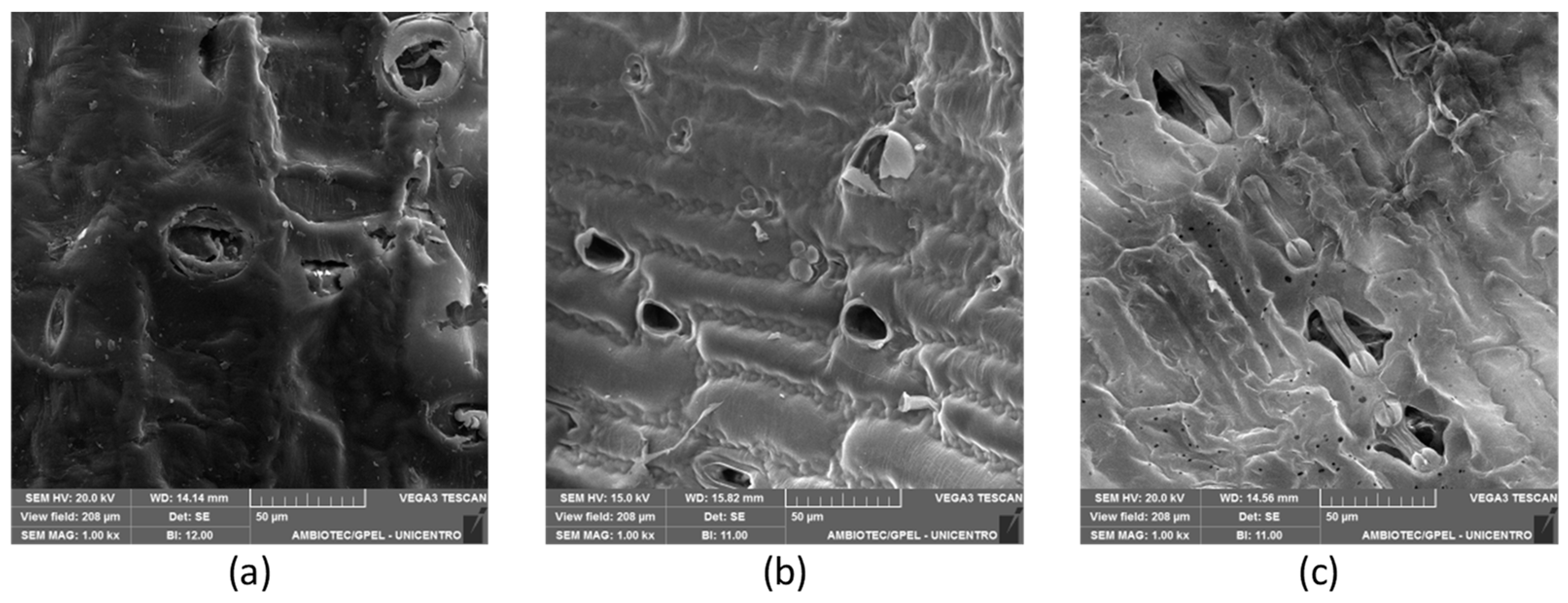 Processes 12 00694 g002 Processes 12 00694 g002