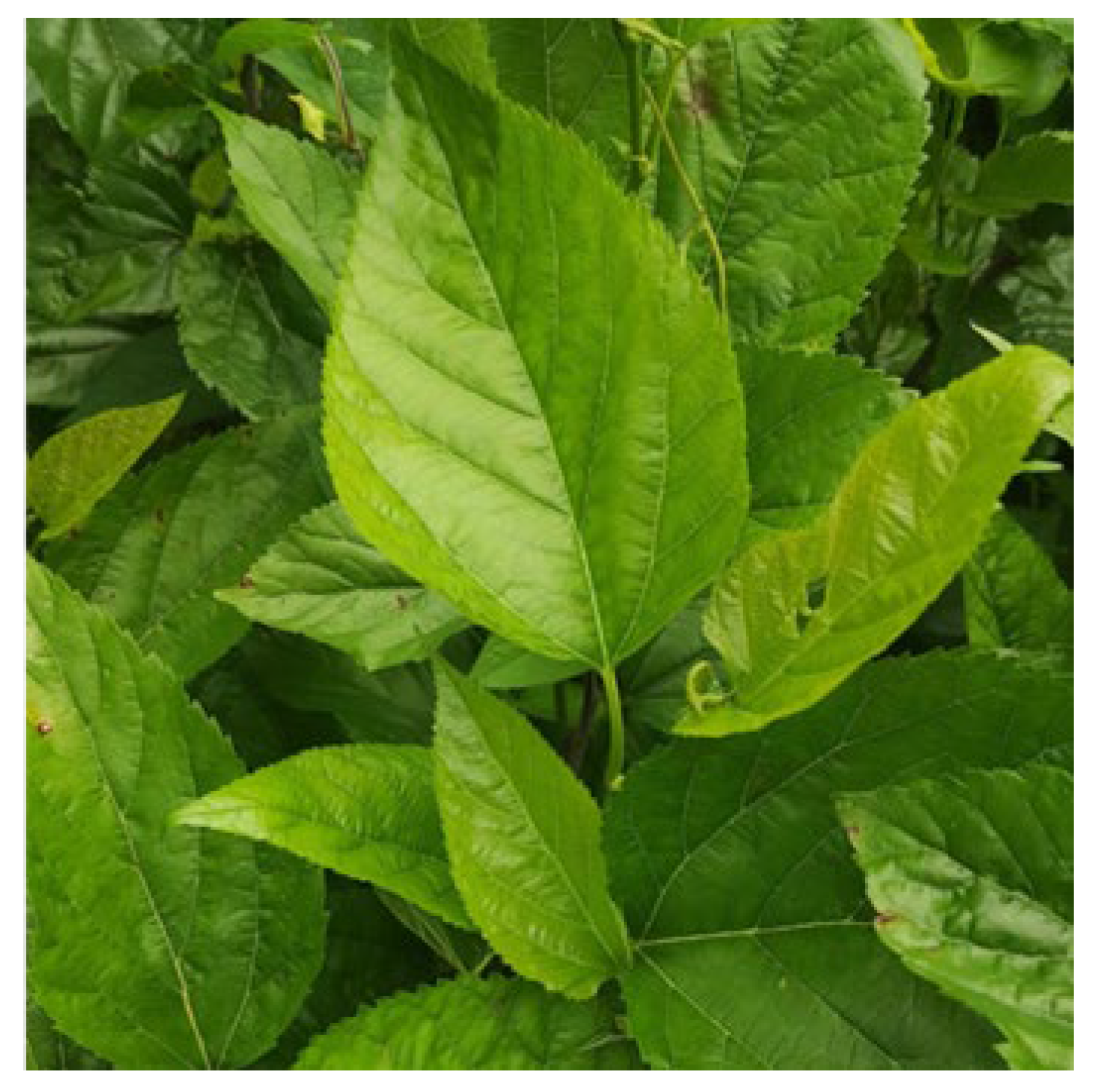 Processes 12 00701 g001