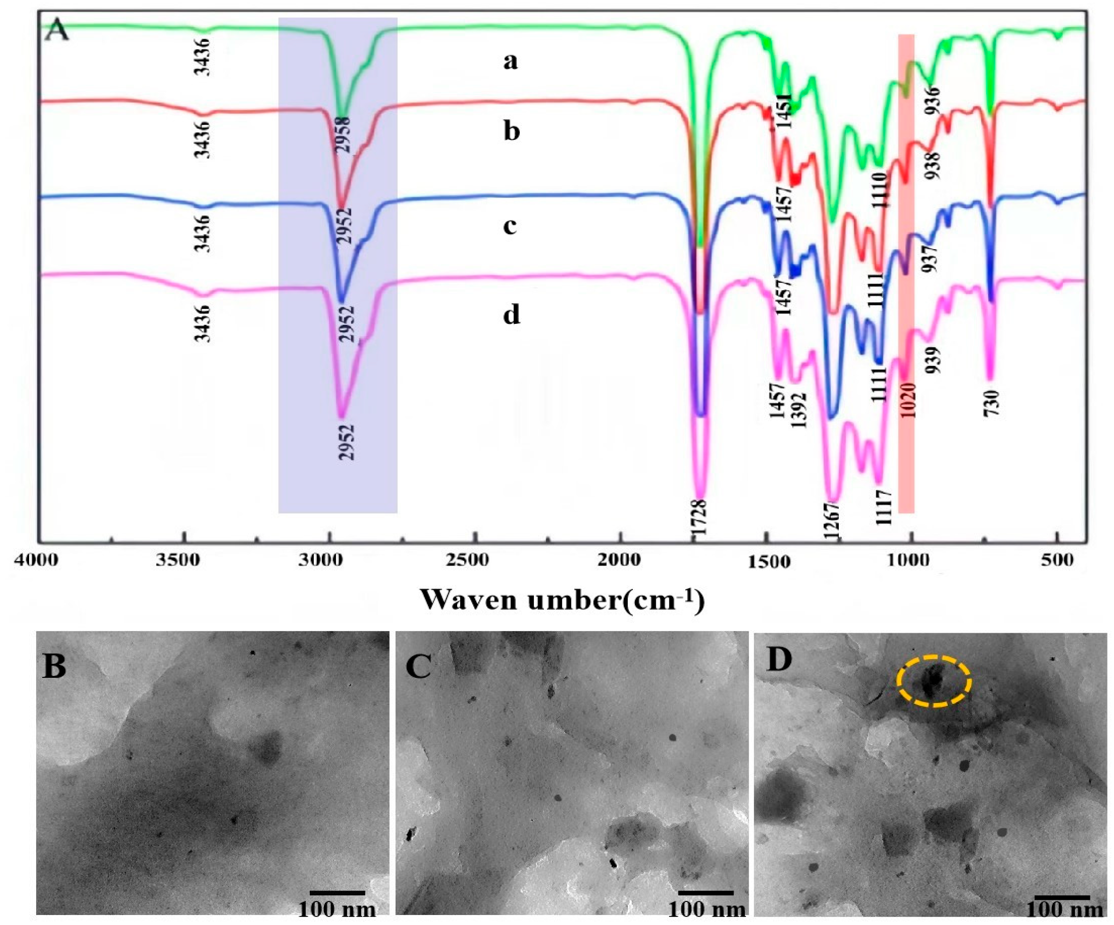 Processes 12 00722 g006