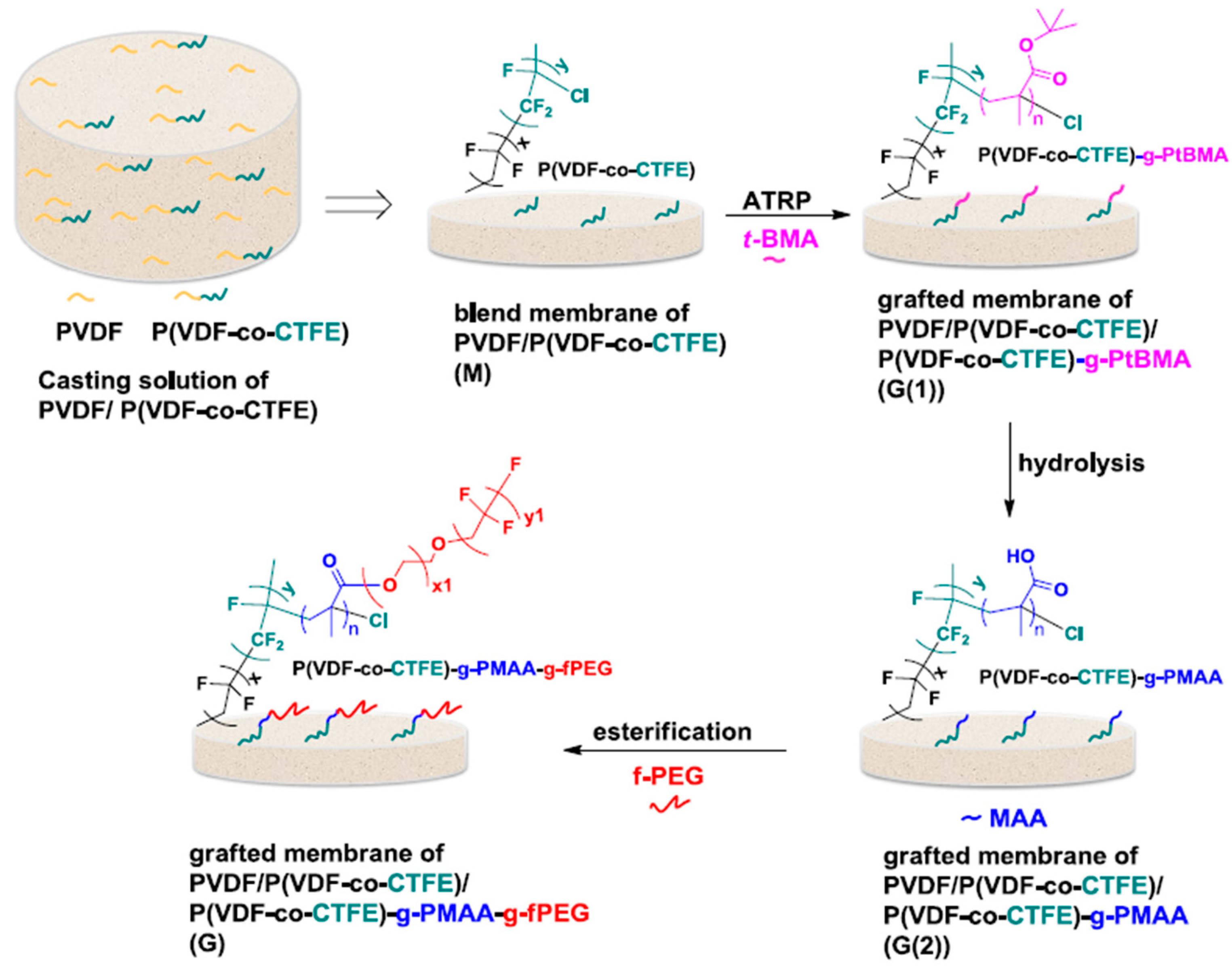 Processes 12 00734 sch002