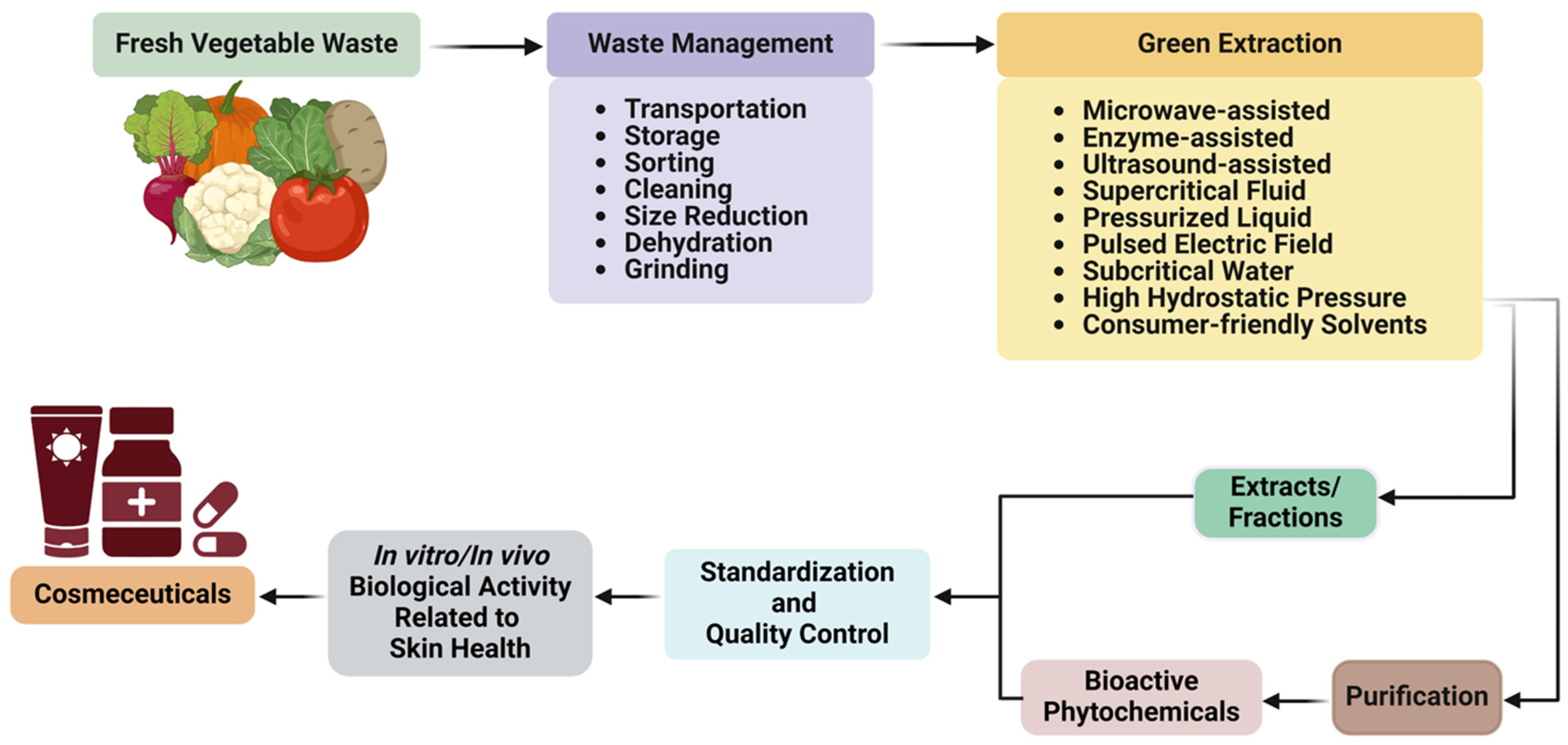 Processes 12 00742 g001