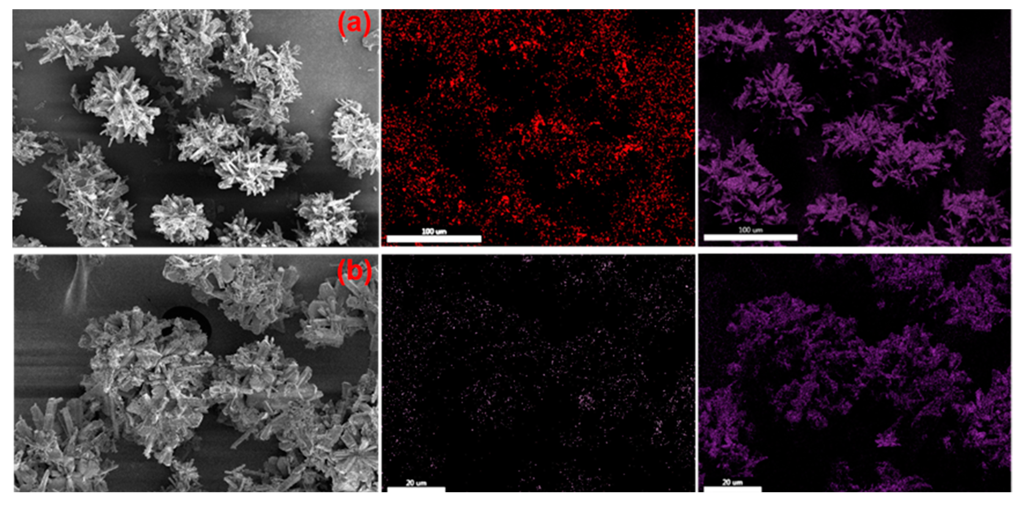 Processes 12 00753 g020