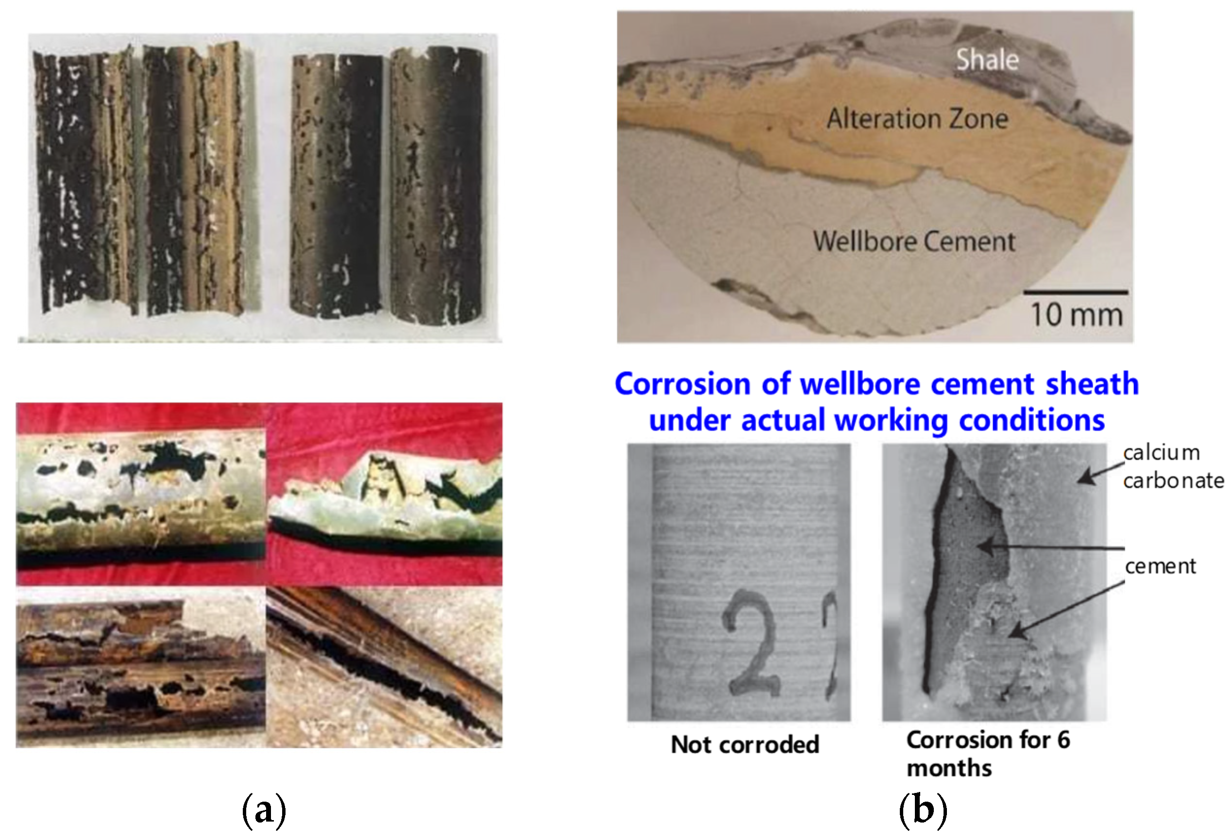 Processes 12 00768 g001