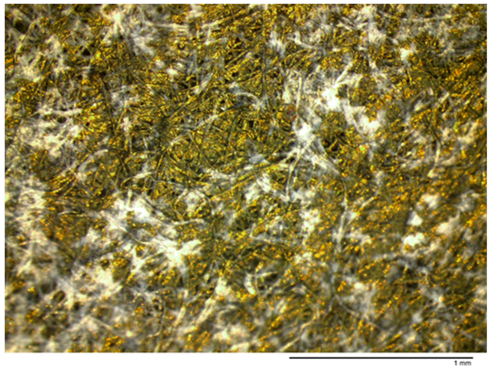 Processes 12 00771 g003