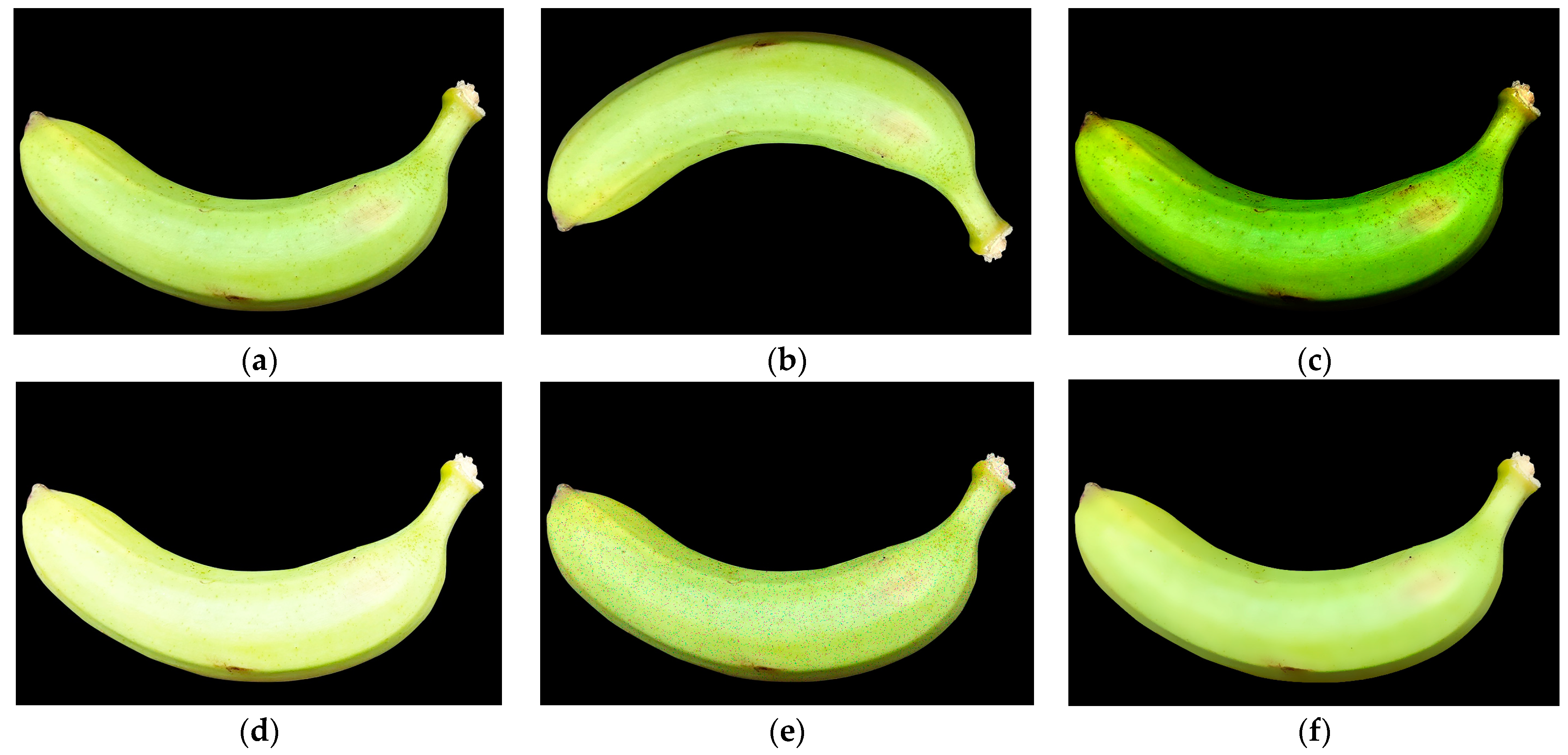 Processes 12 00799 g003