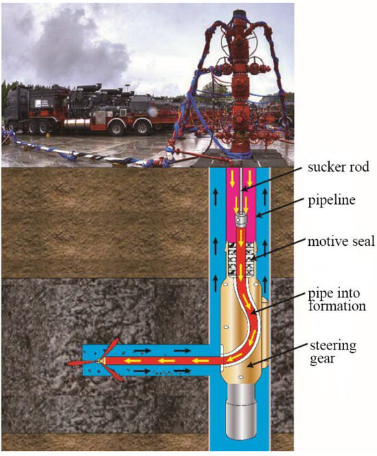 Reliability Analysis of Dynamic Sealing Performance in the Radial 
