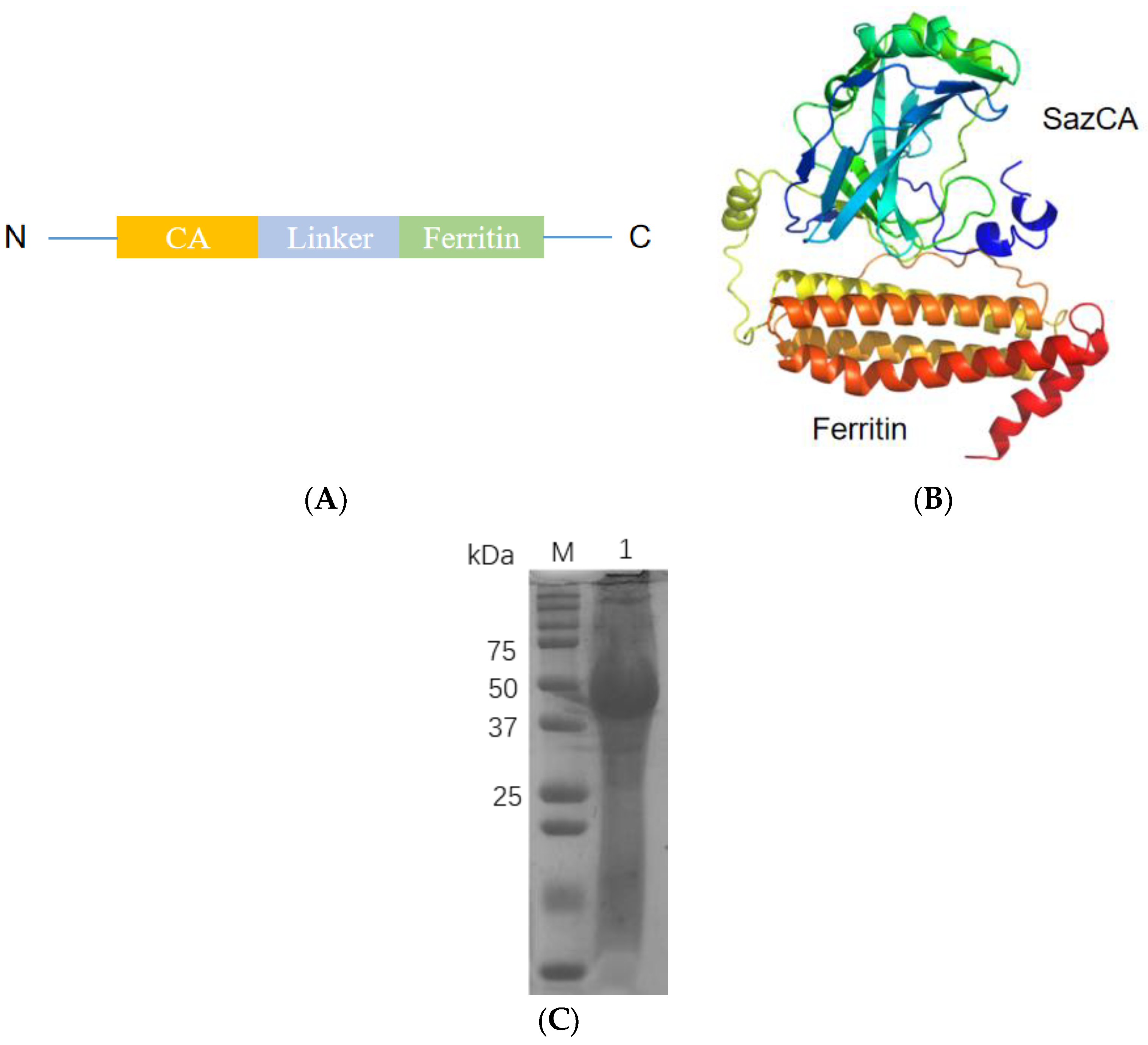 Processes 12 00810 g001