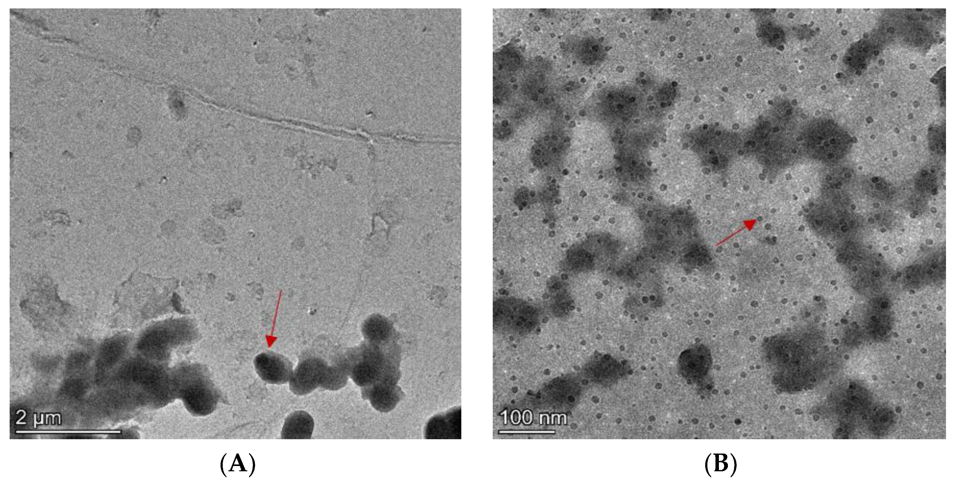 Processes 12 00810 g002