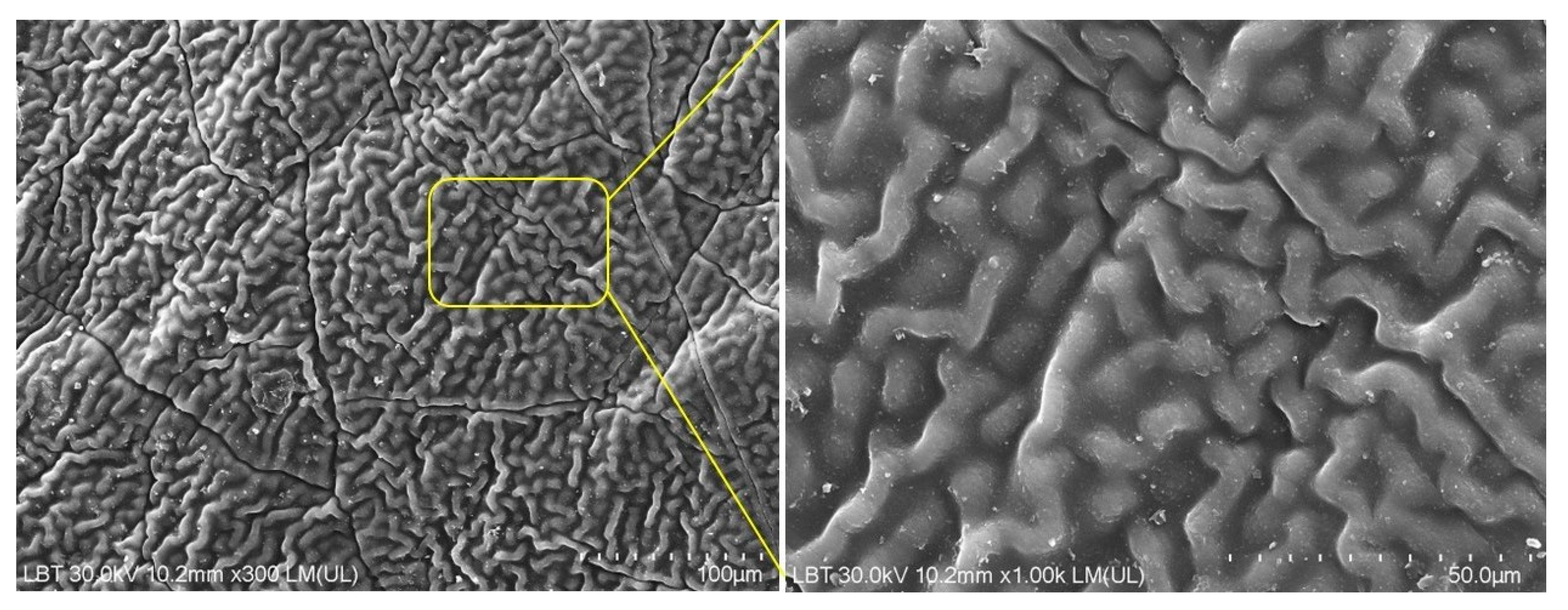 Processes 12 00832 g009