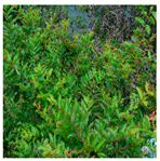 Processes 12 00833 i003