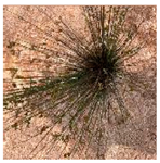 Processes 12 00833 i004