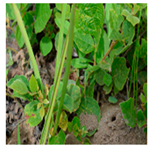 Processes 12 00833 i006