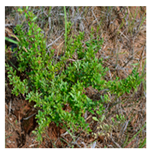 Processes 12 00833 i008