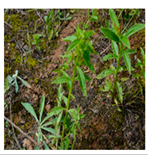 Processes 12 00833 i010