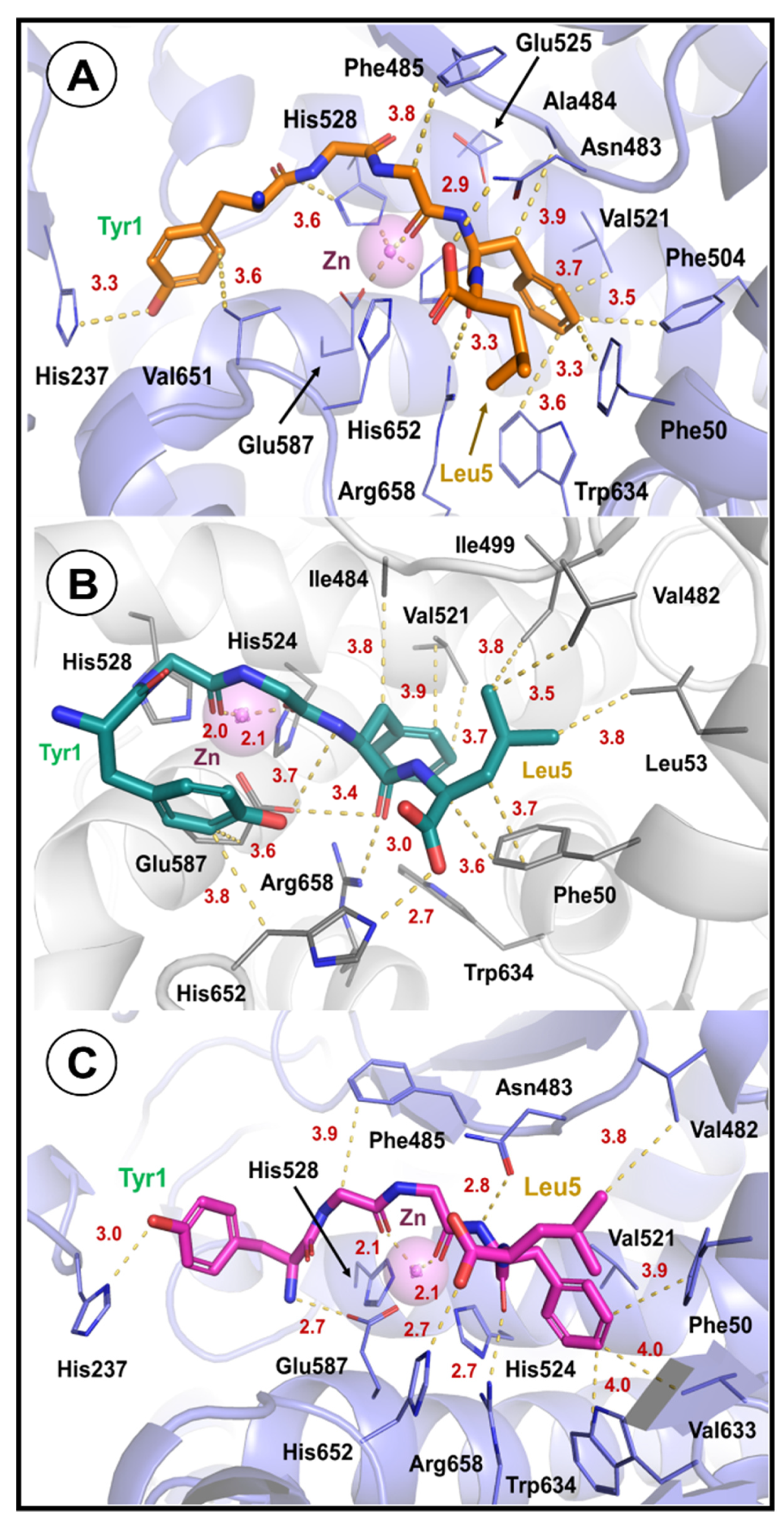 Processes 12 00885 g005 Processes 12 00885 g005