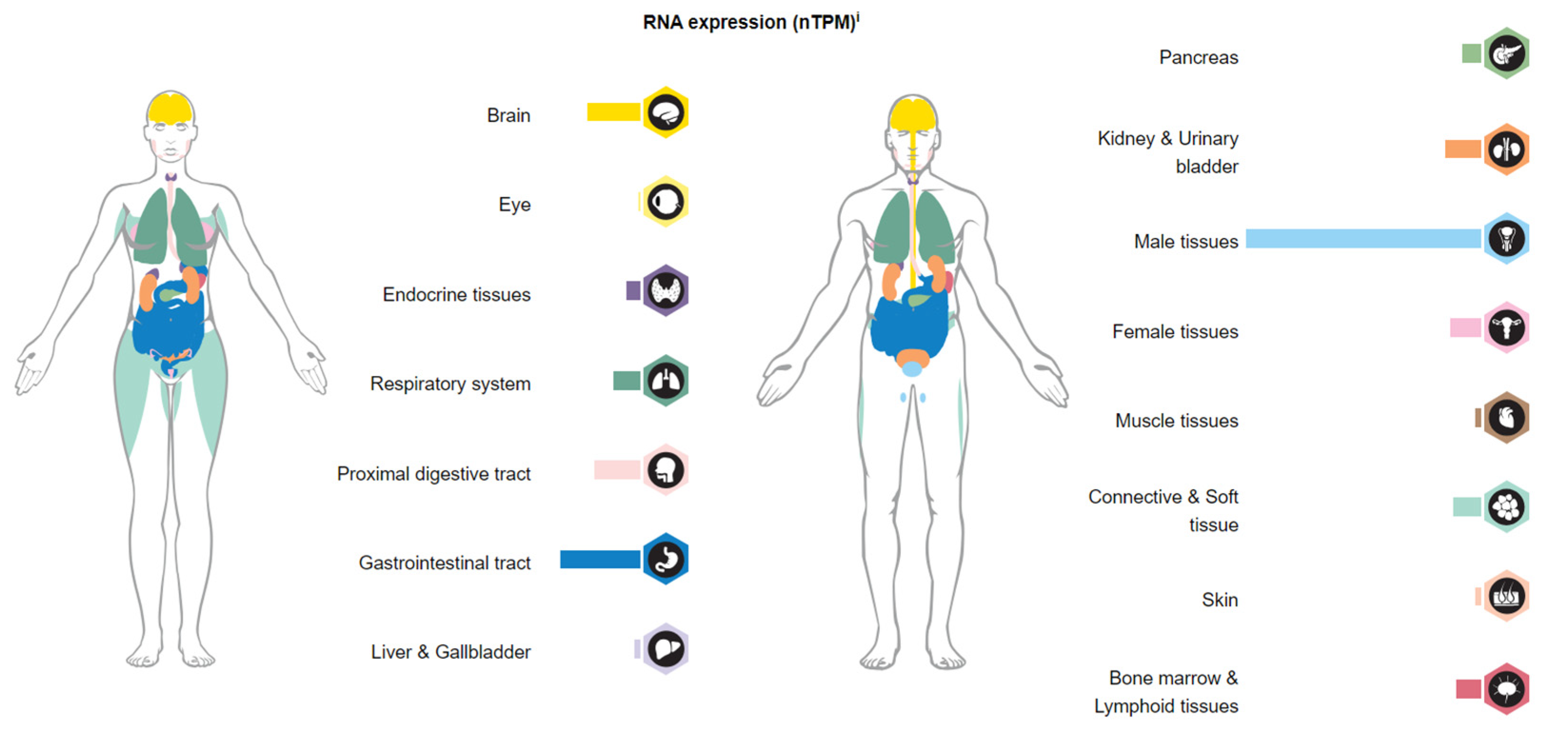 Processes 12 00885 g009 Processes 12 00885 g009