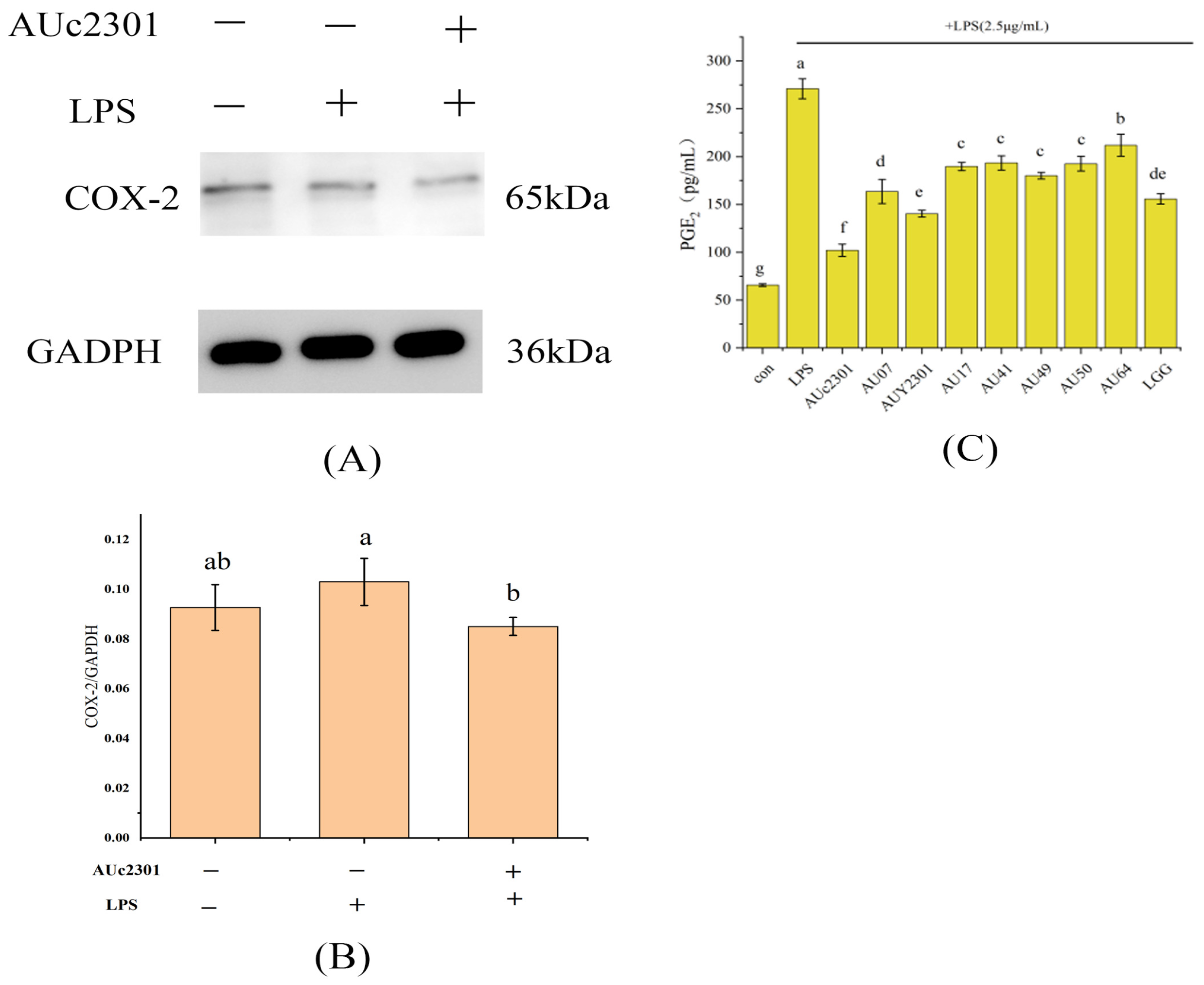 Processes 12 00903 g004