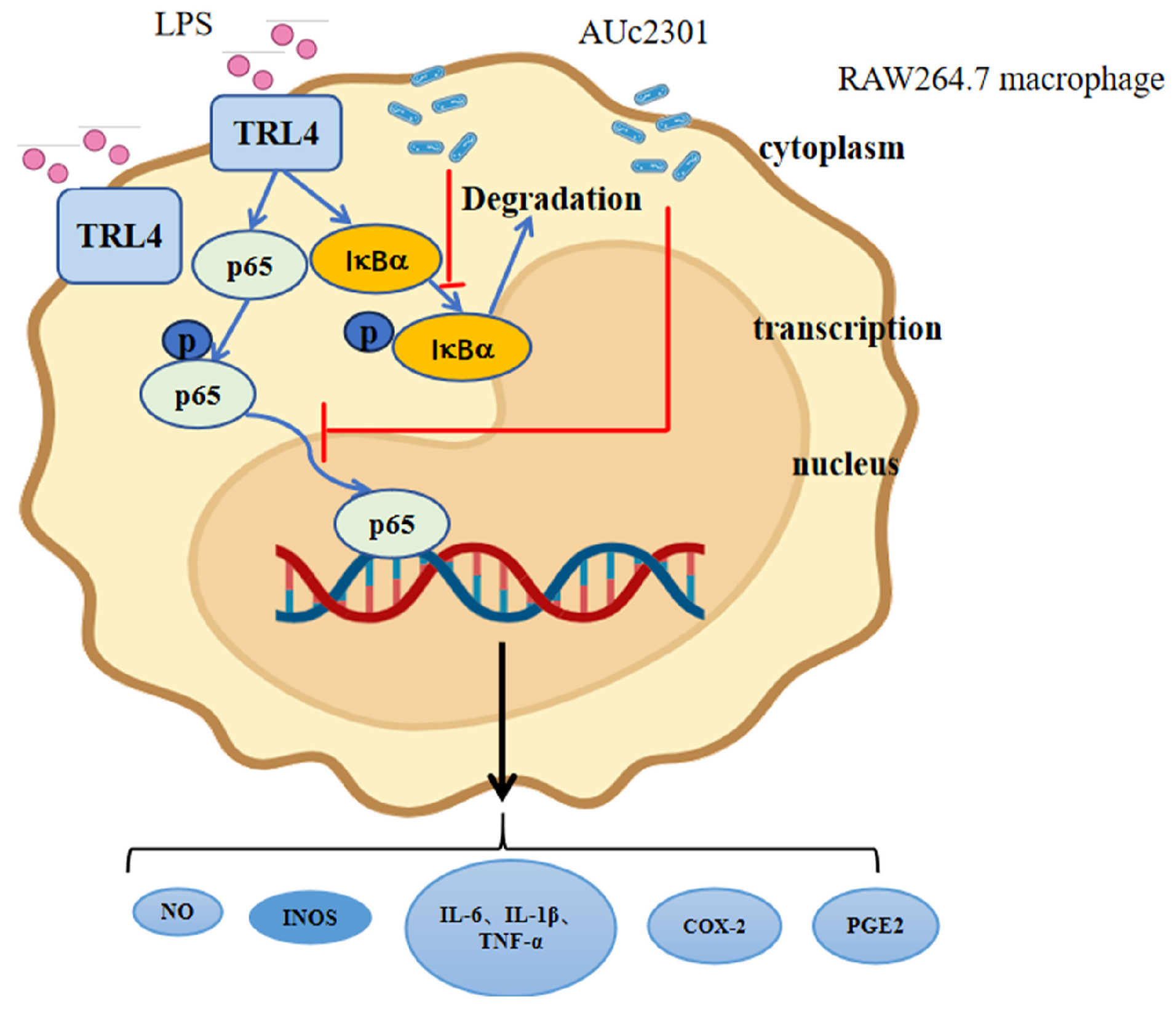 Processes 12 00903 g006