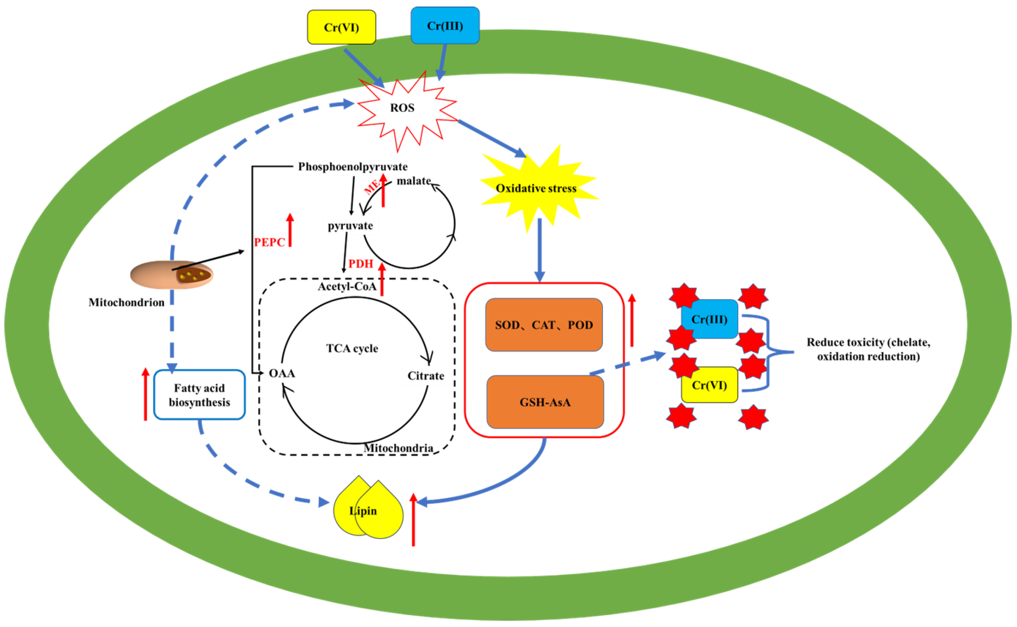 Processes 12 00905 g007