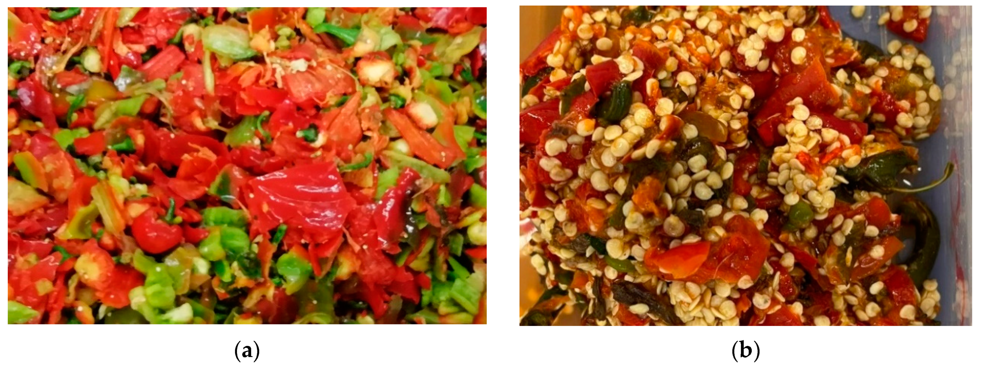 Processes 12 00913 g001