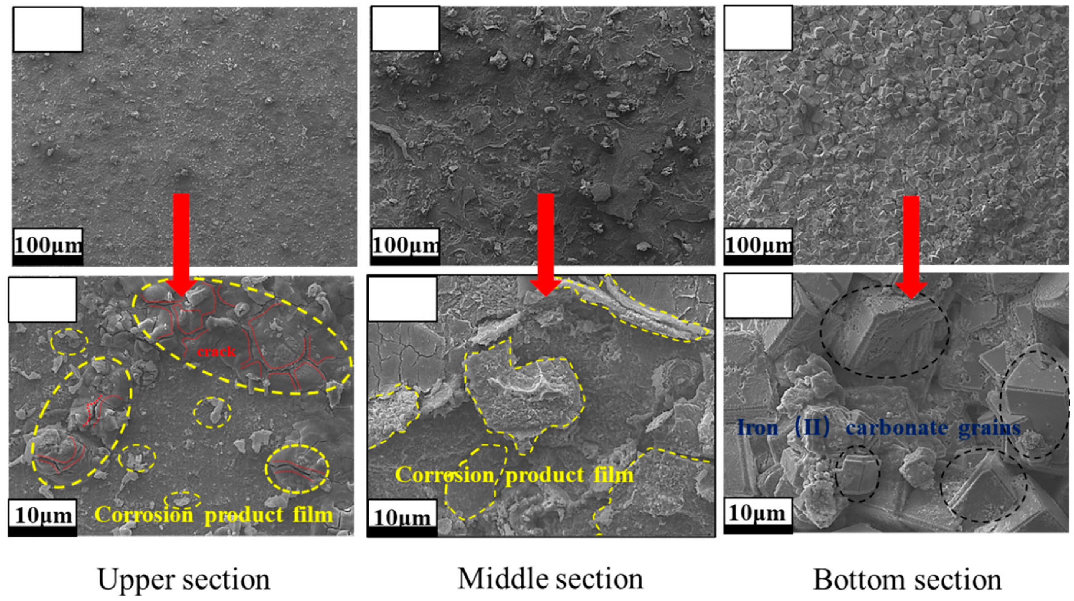 Processes 12 00920 g004