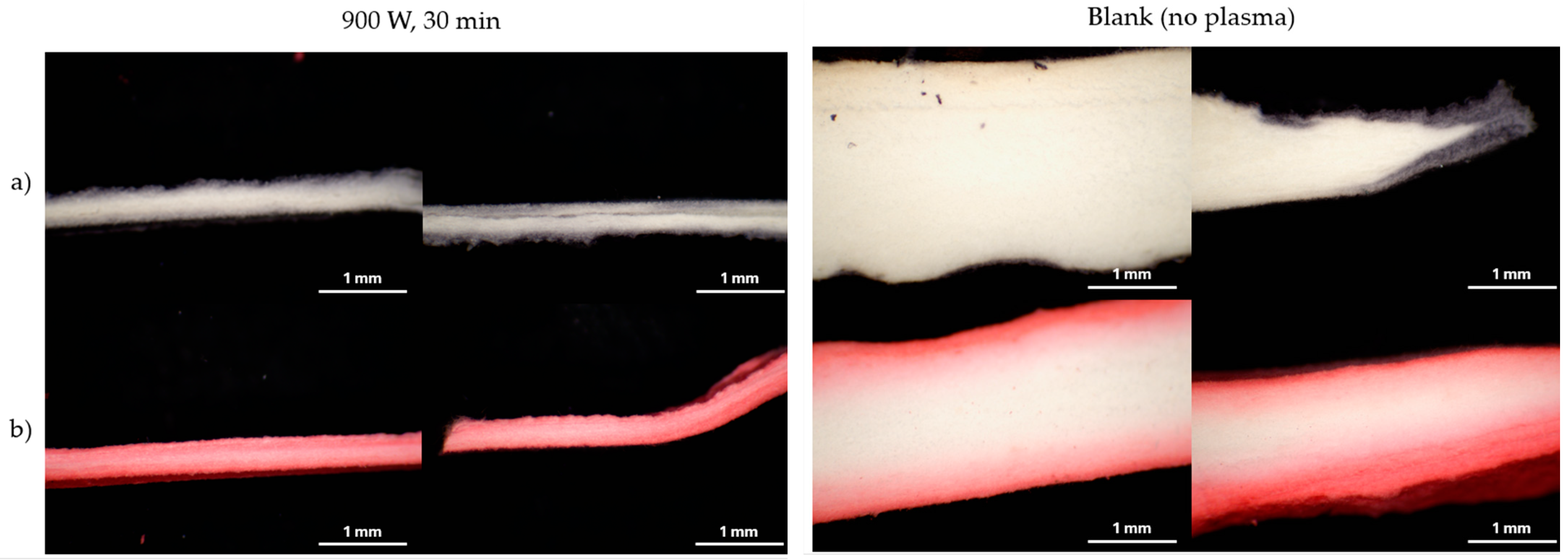 Processes 12 00933 g005