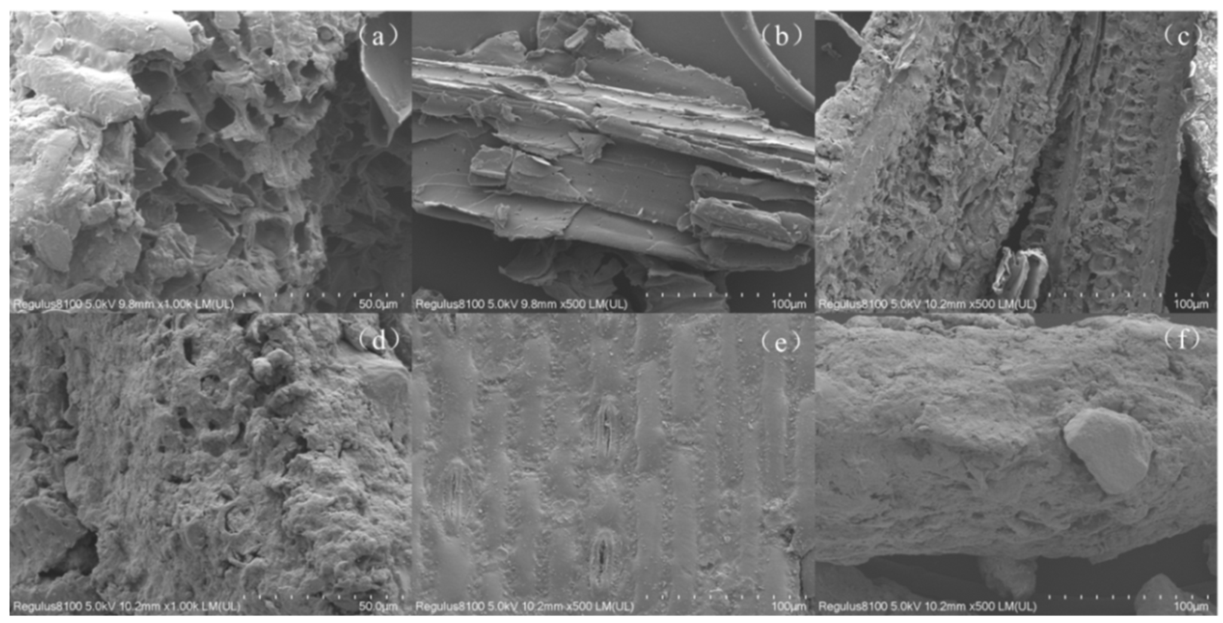 Processes 12 00943 g007