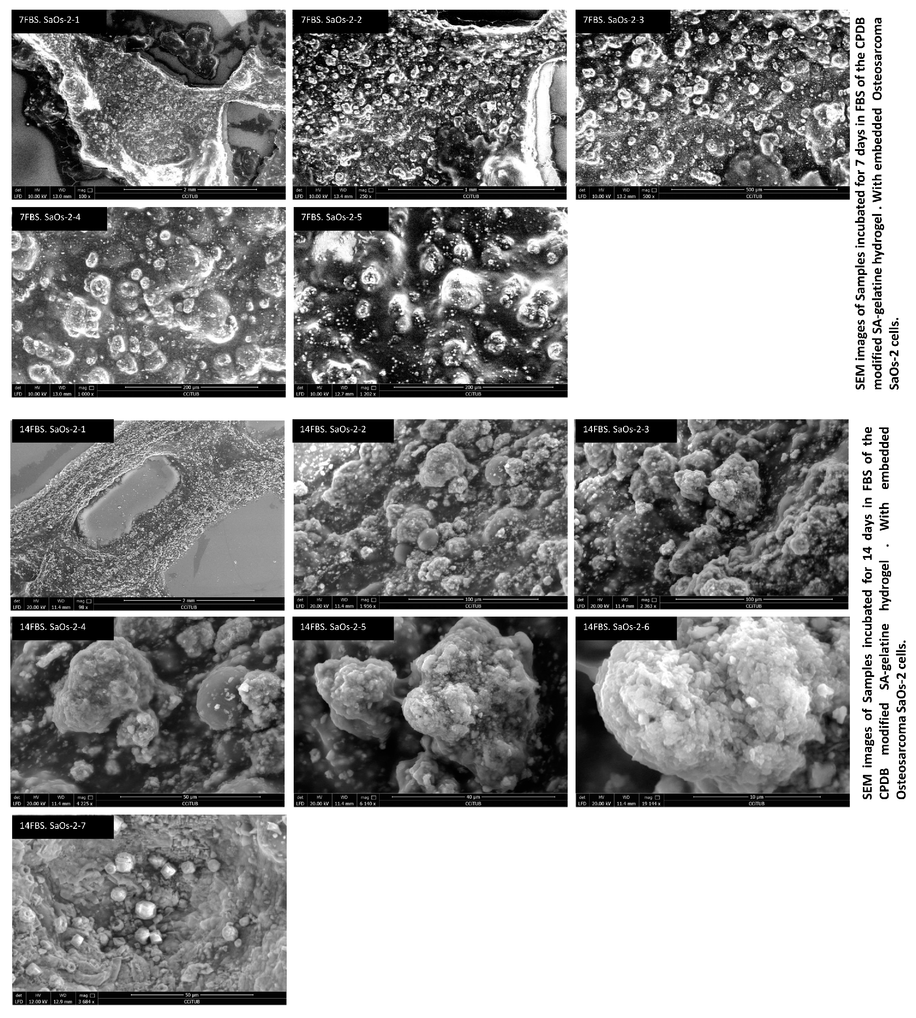 Processes 12 00944 g006