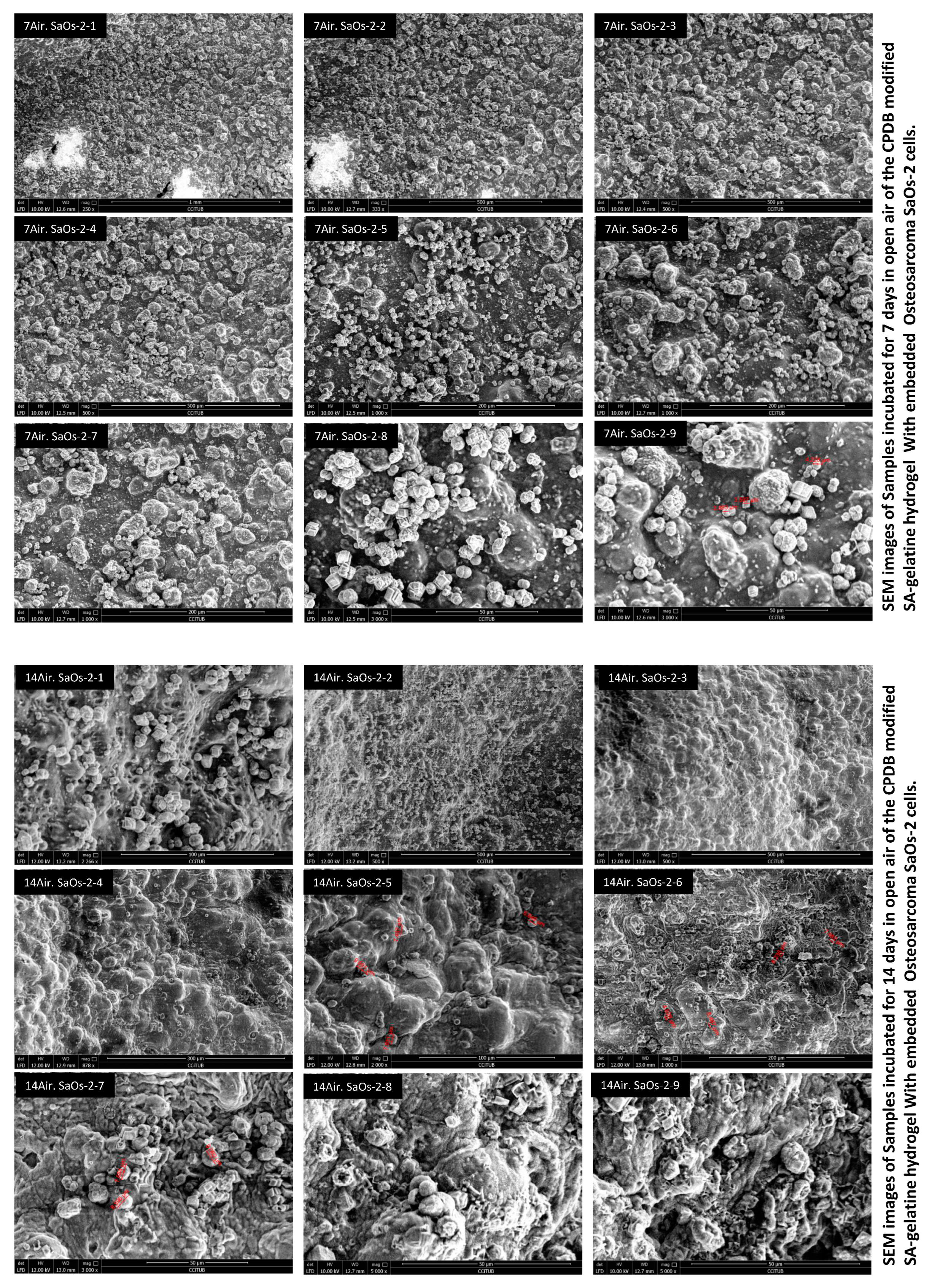 Processes 12 00944 g007