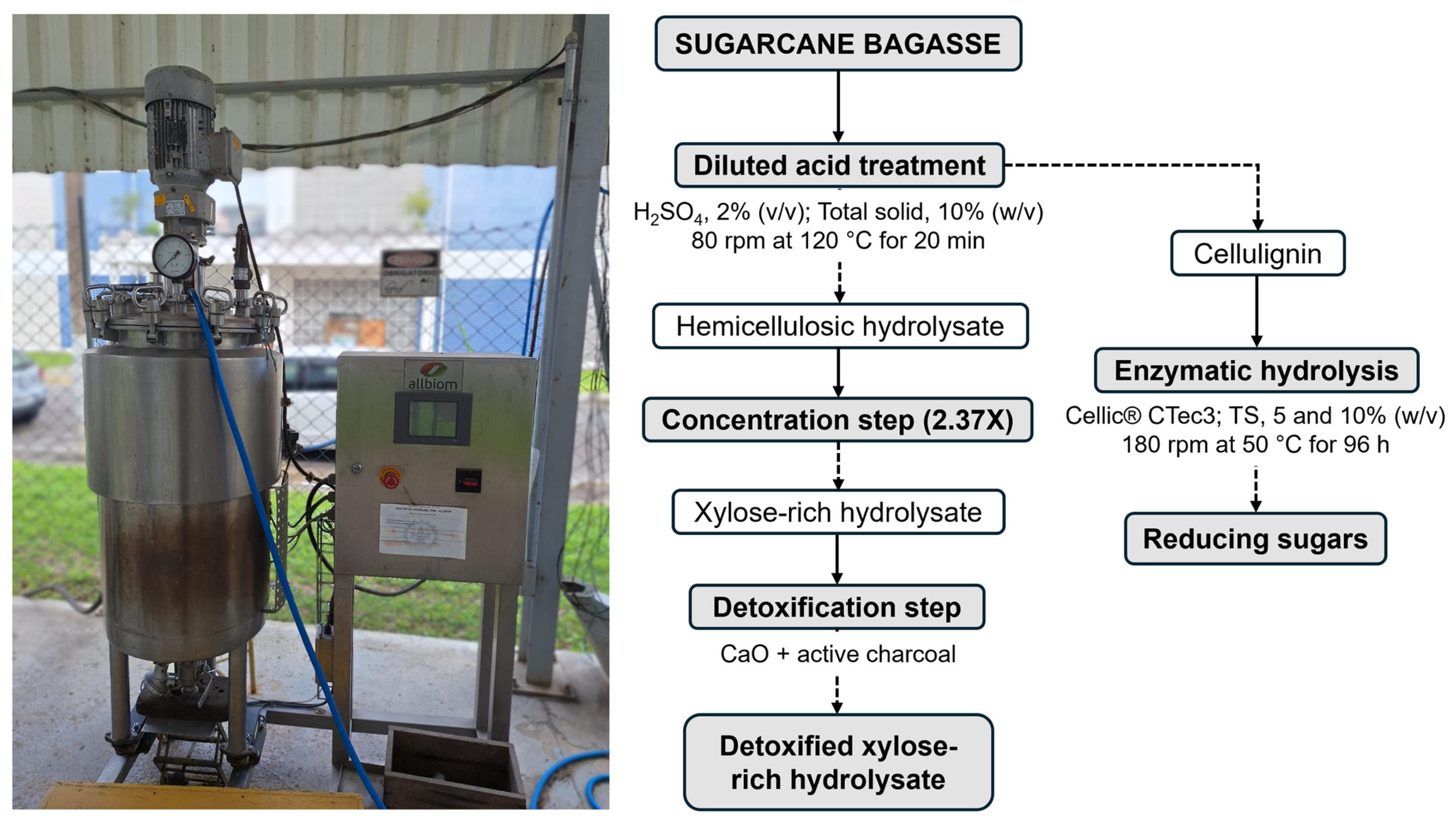 Processes 12 00978 g001