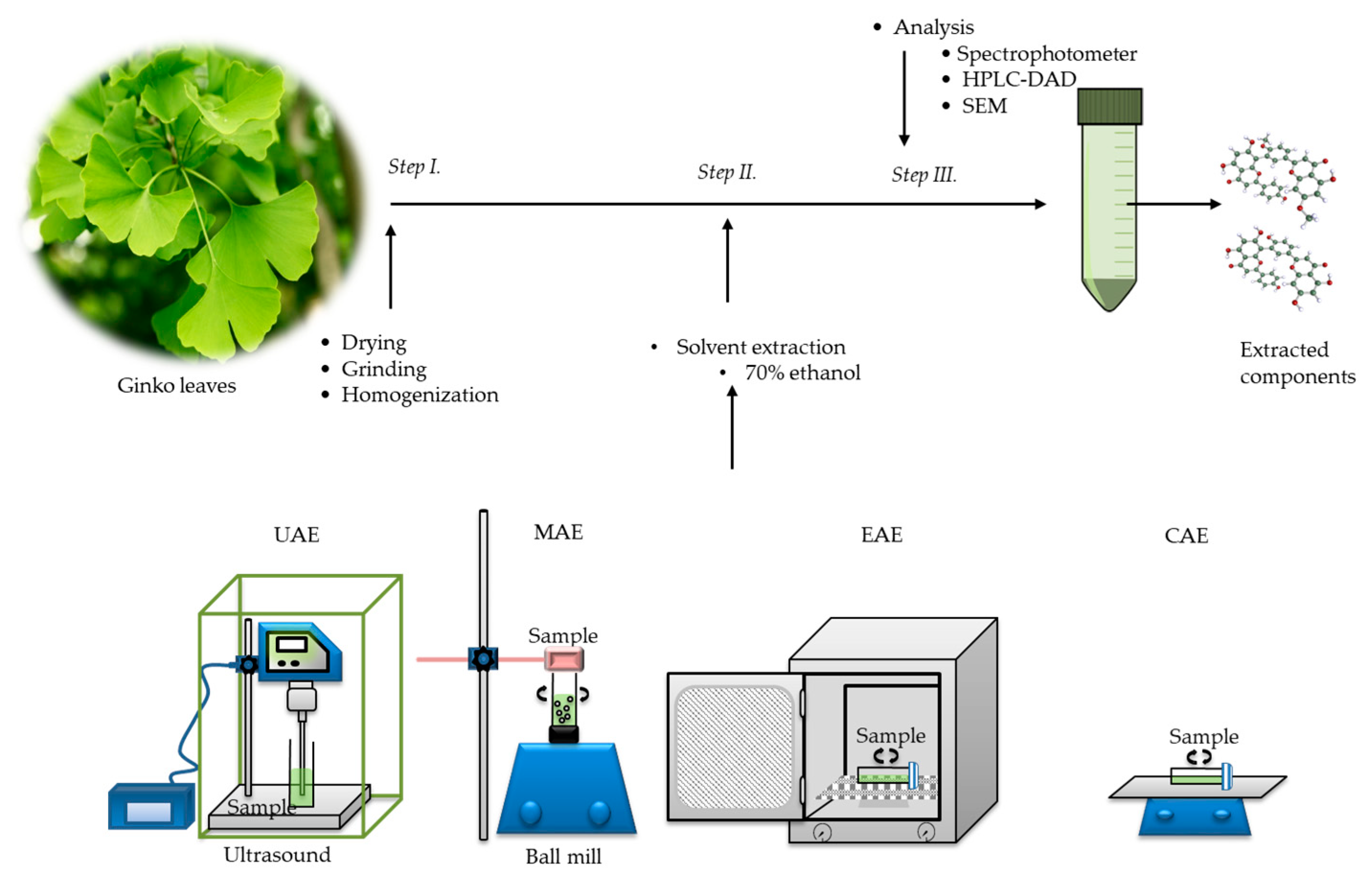 Processes 12 00982 g002