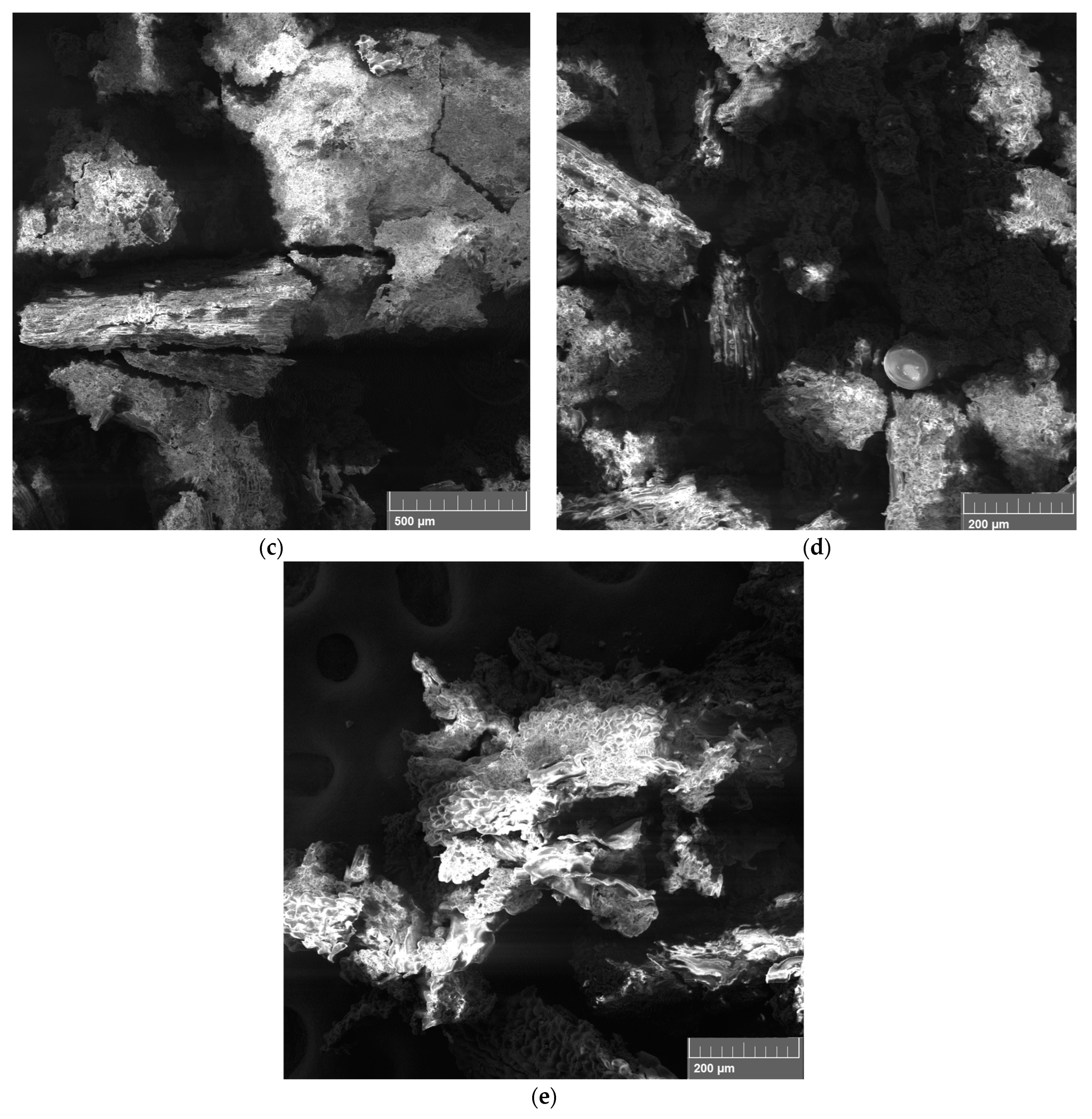 Processes 12 00982 g007b