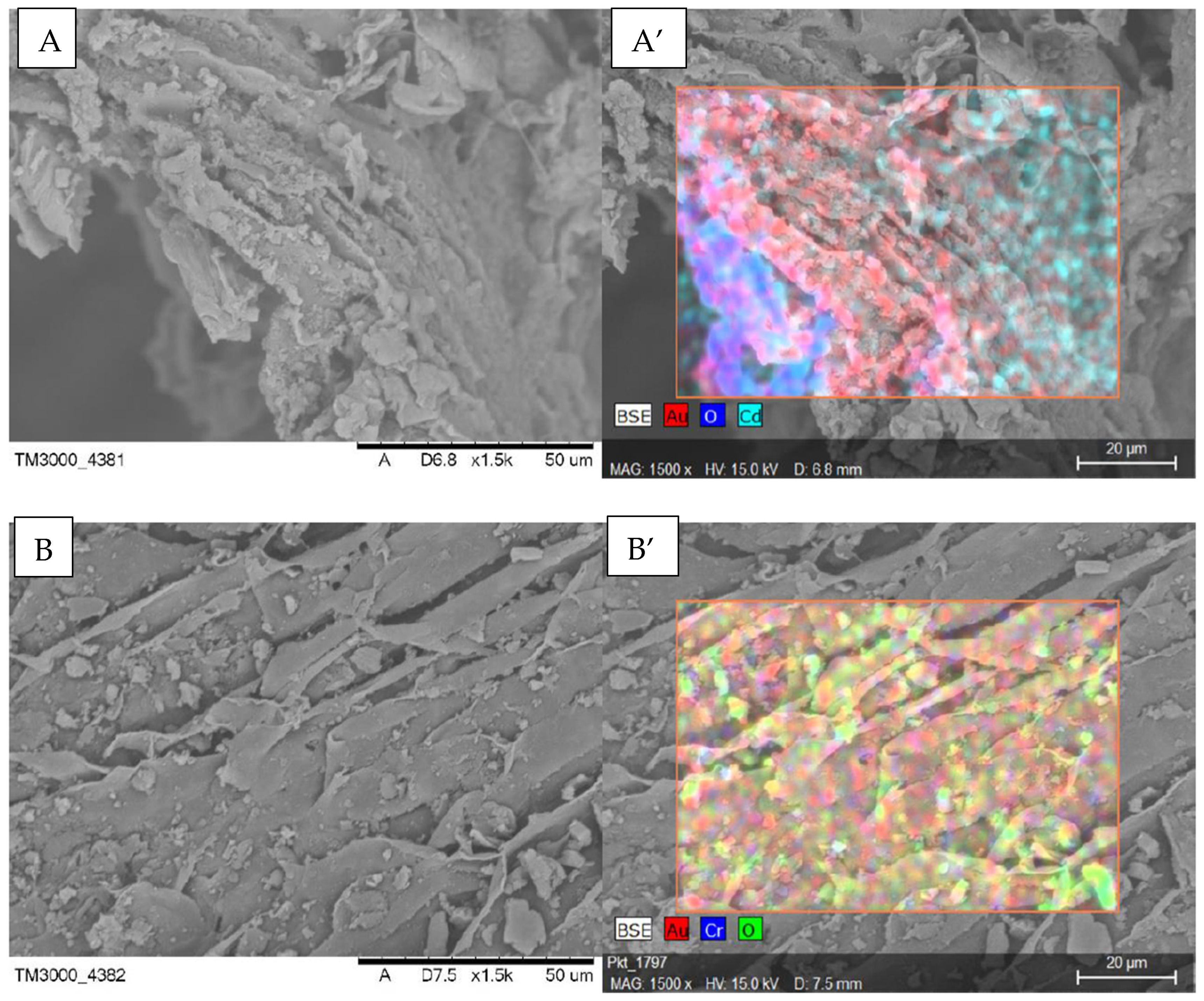 Processes 12 01005 g001a